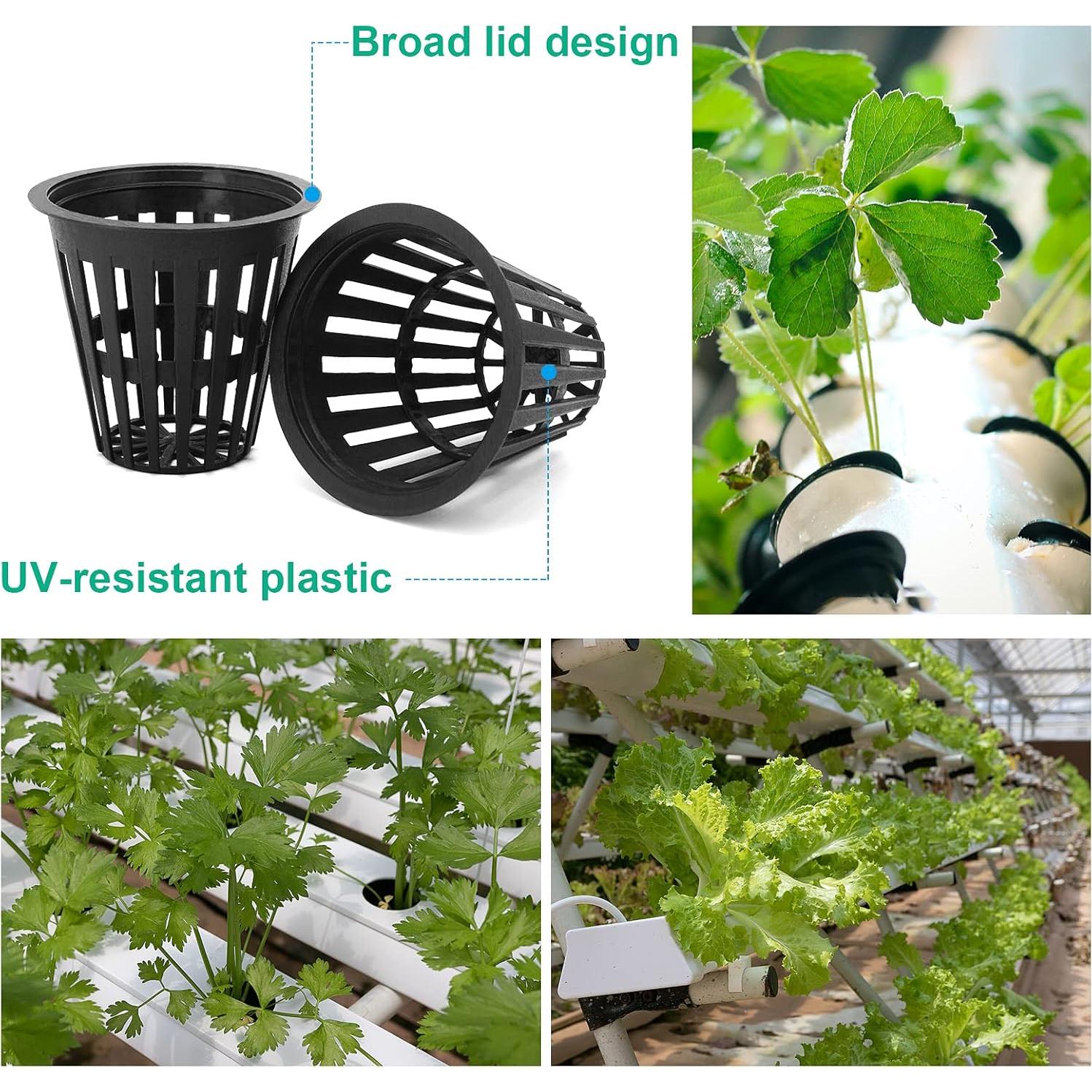 Macetas de red 5 cm Business King 50 unidades para hidroponía