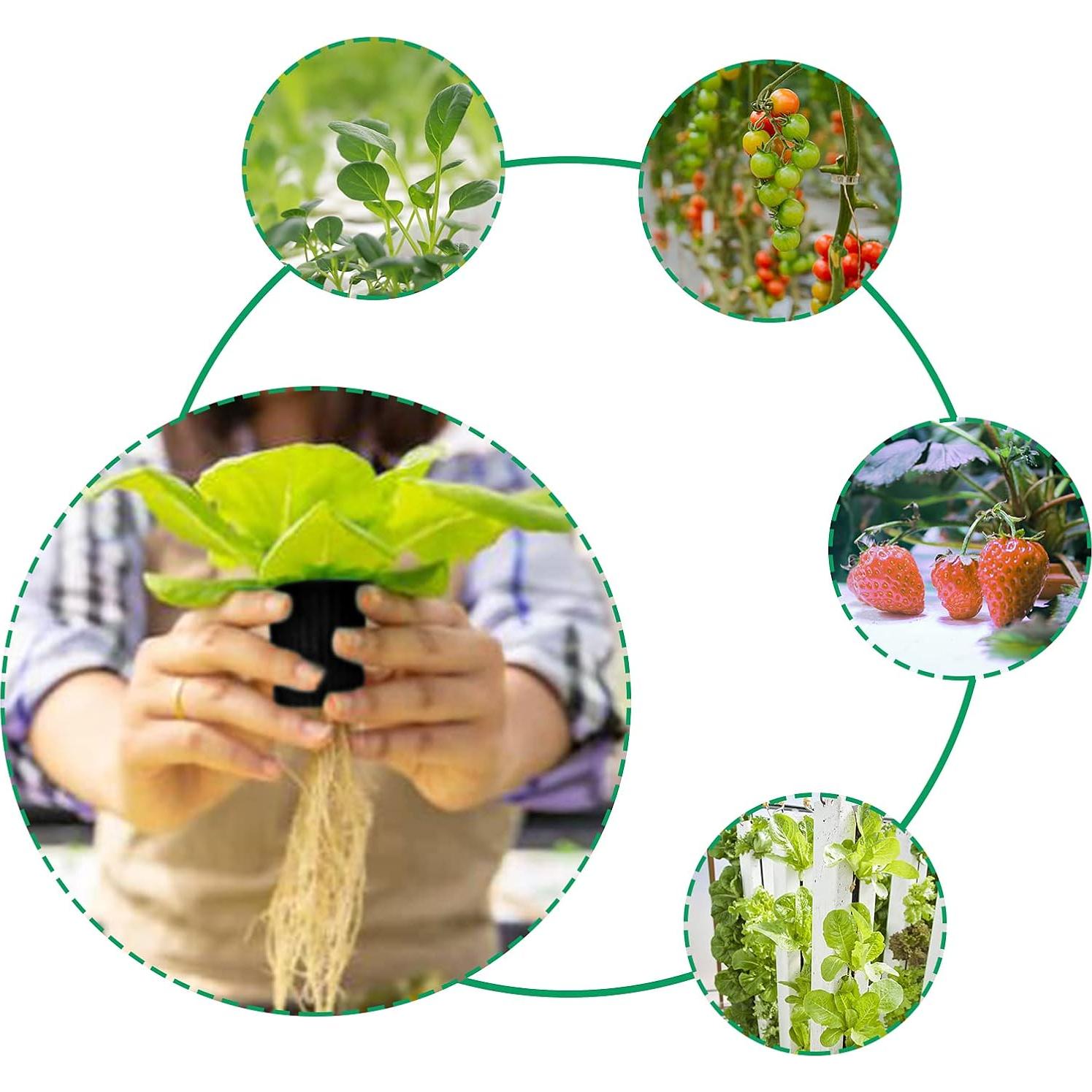 Macetas de red 5 cm Business King 50 unidades para hidroponía