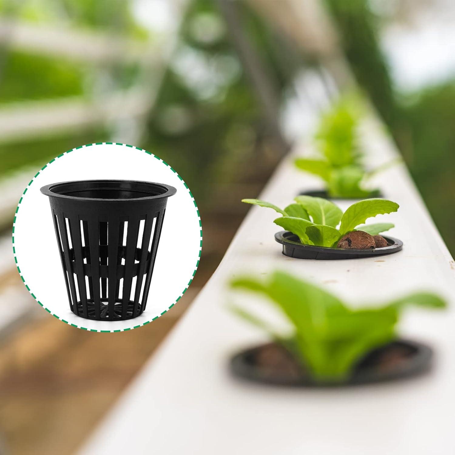 Macetas de red 5 cm Business King 50 unidades para hidroponía