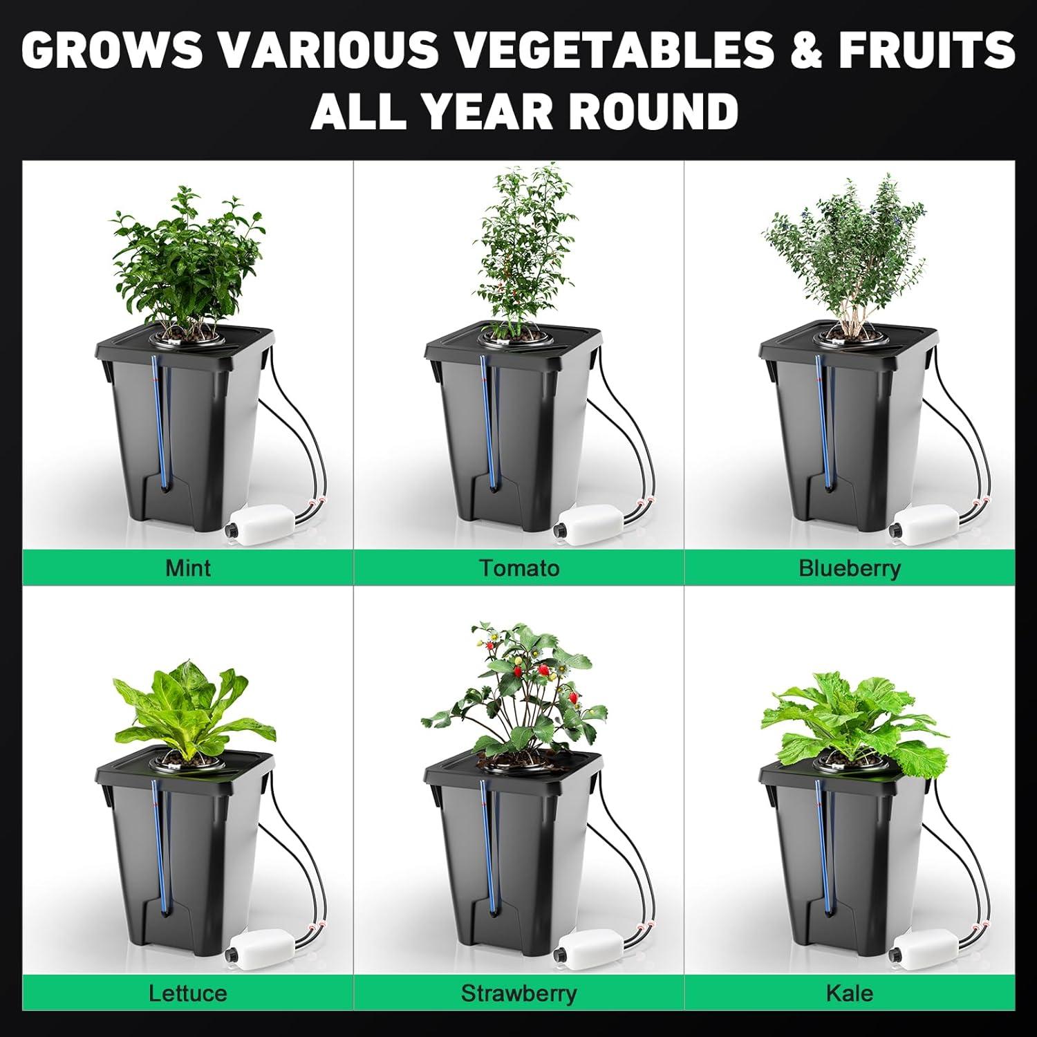 Sistema Hidropónico DWC YIFOR 7 Galones con Goteo Superior