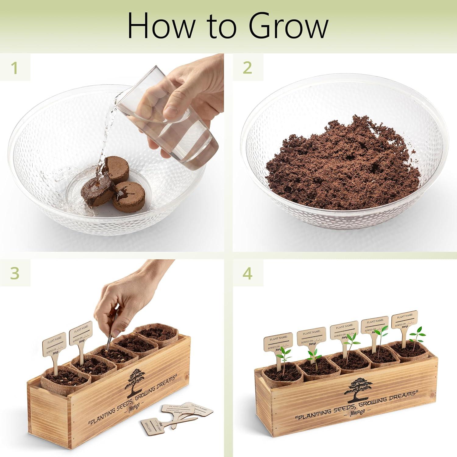 Kit de Árbol Bonsai AVERGO – 5 Árboles para Cultivar