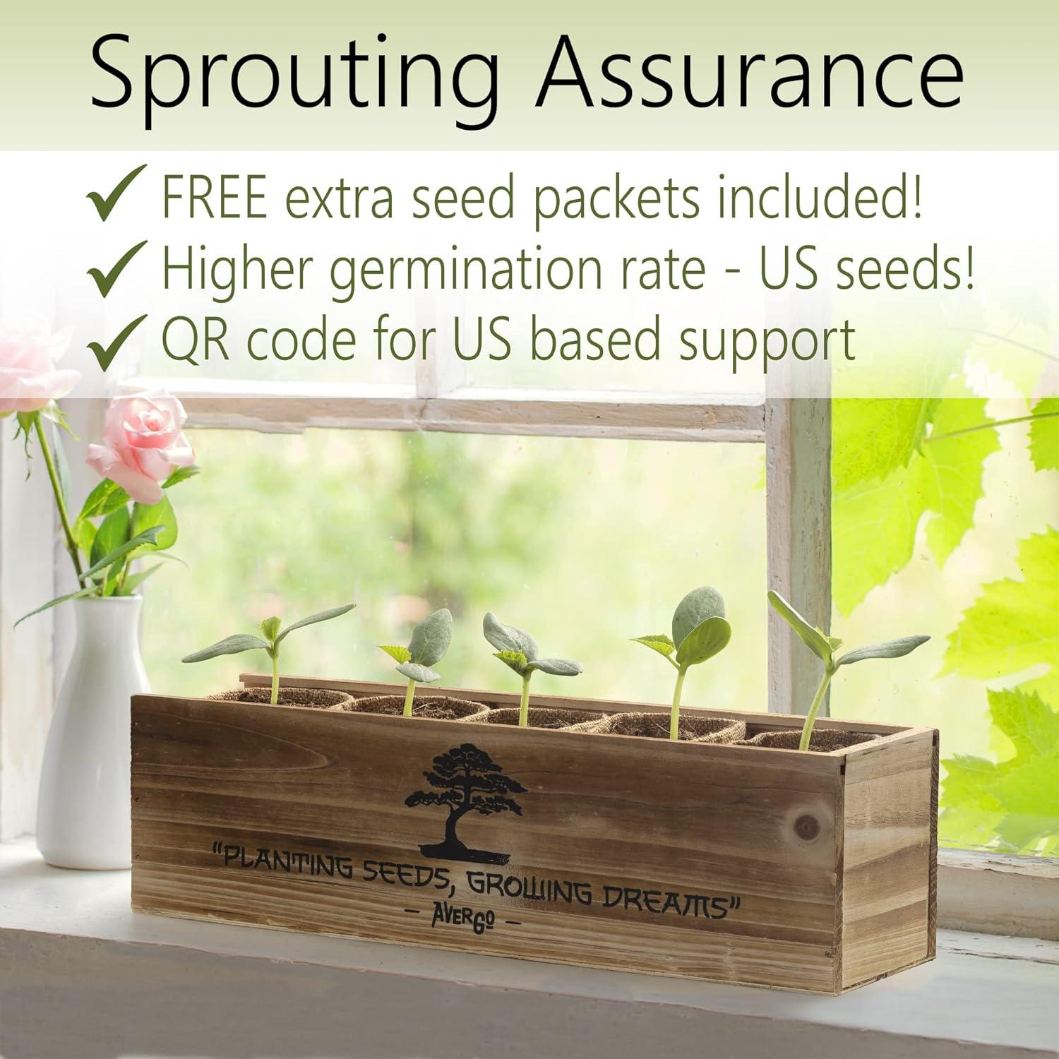 Kit de Árbol Bonsai AVERGO – 5 Árboles para Cultivar