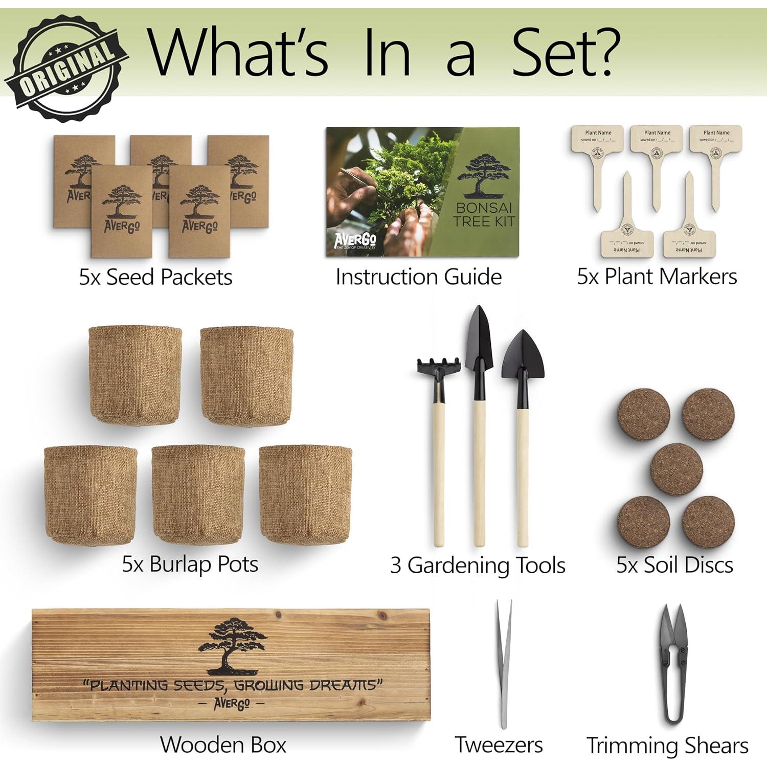 Kit de Árbol Bonsai AVERGO – 5 Árboles para Cultivar