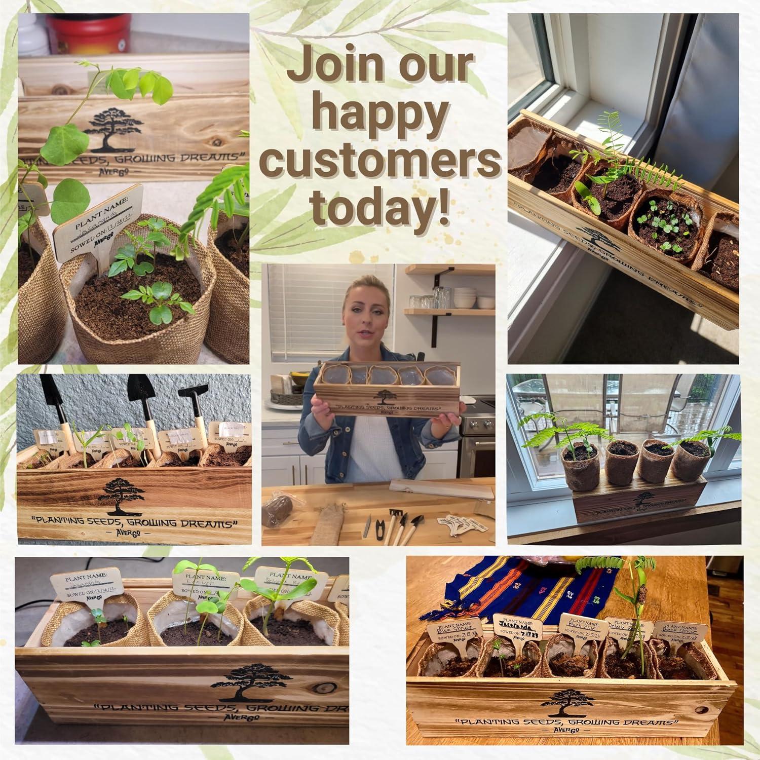 Kit de Árbol Bonsai AVERGO – 5 Árboles para Cultivar