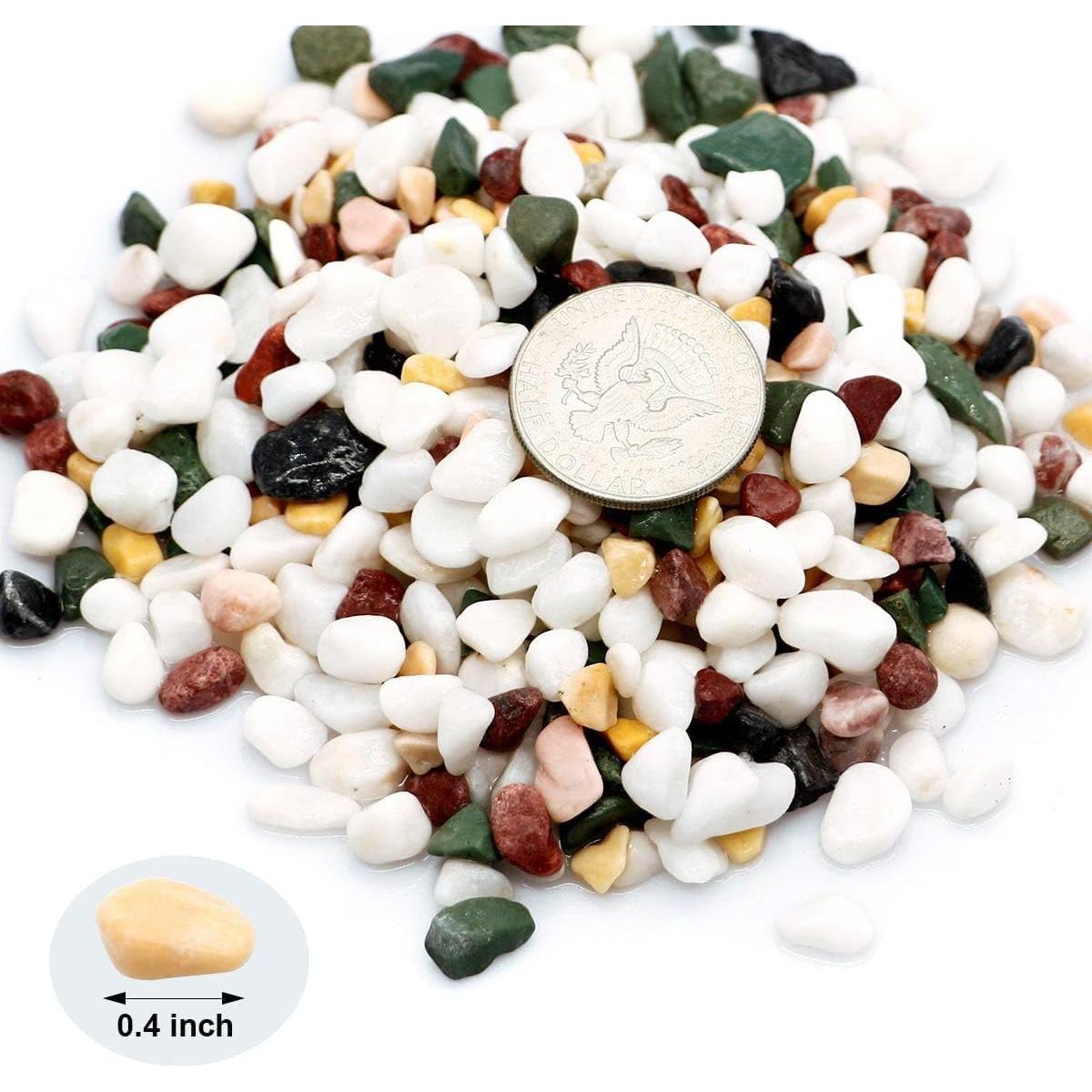 Guijarros Decorativos TOYPOPOR 0.91 kg Mezcla de Colores