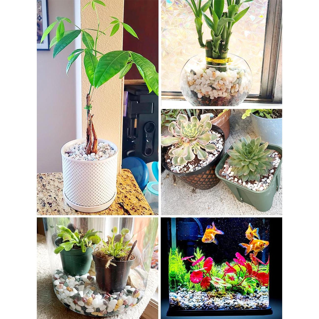 Guijarros Decorativos TOYPOPOR 0.91 kg Mezcla de Colores