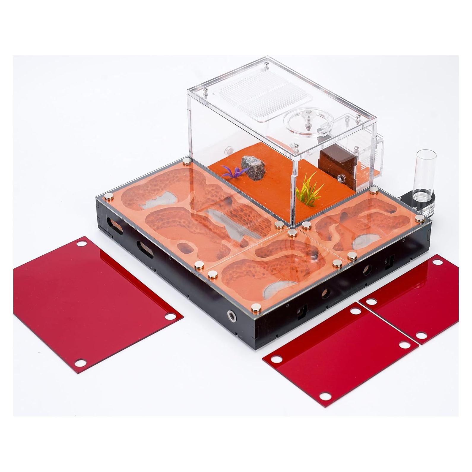 Ecological Ant Nest - Modular Ant Farm with Magnetic Glass Covers, Humidity Control, Ventilation, and Expansion Ports - Perfect for Ant Enthusiasts (10.63 x 9.84 x 5.12 inches)