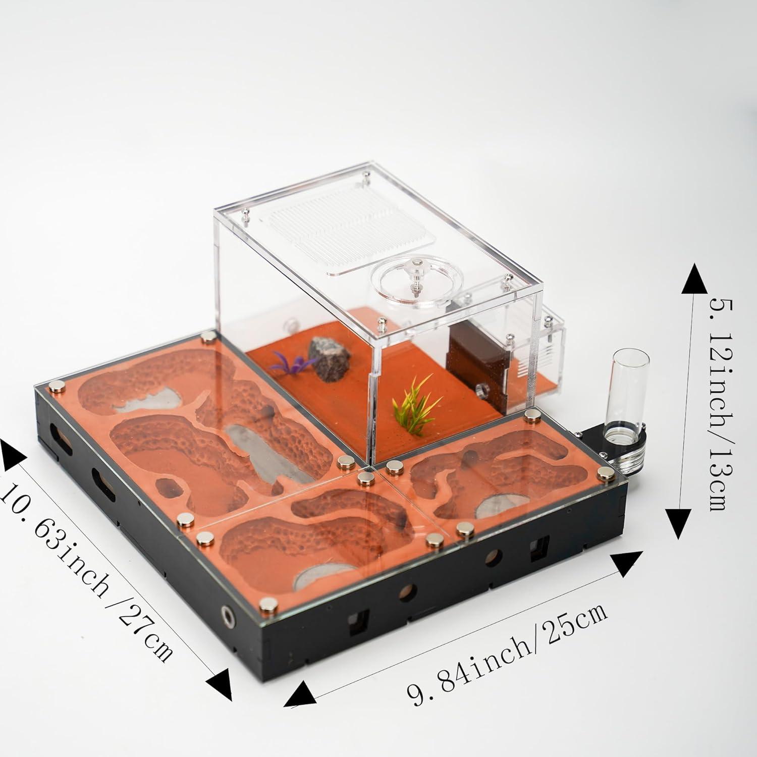 Ecological Ant Nest - Modular Ant Farm with Magnetic Glass Covers, Humidity Control, Ventilation, and Expansion Ports - Perfect for Ant Enthusiasts (10.63 x 9.84 x 5.12 inches)