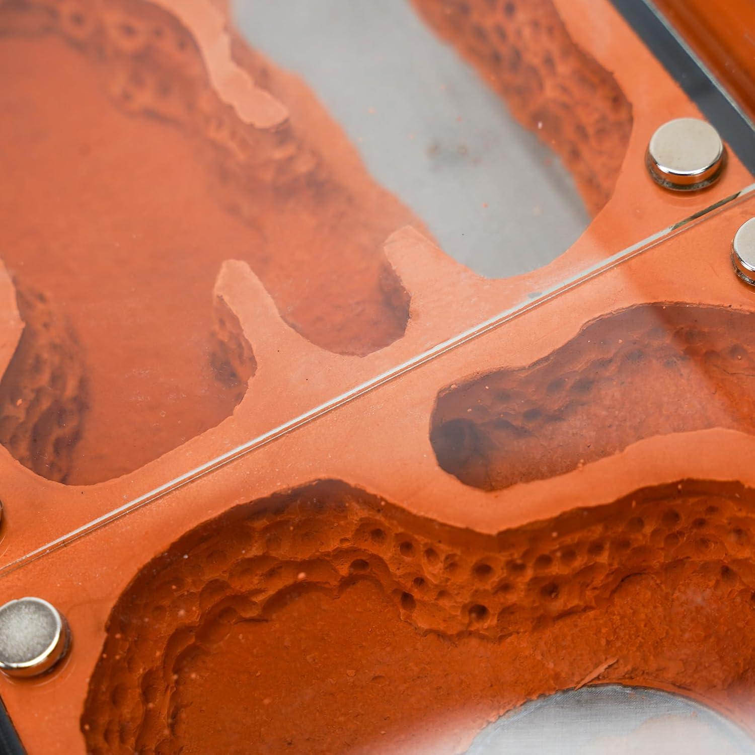 Ecological Ant Nest - Modular Ant Farm with Magnetic Glass Covers, Humidity Control, Ventilation, and Expansion Ports - Perfect for Ant Enthusiasts (10.63 x 9.84 x 5.12 inches)