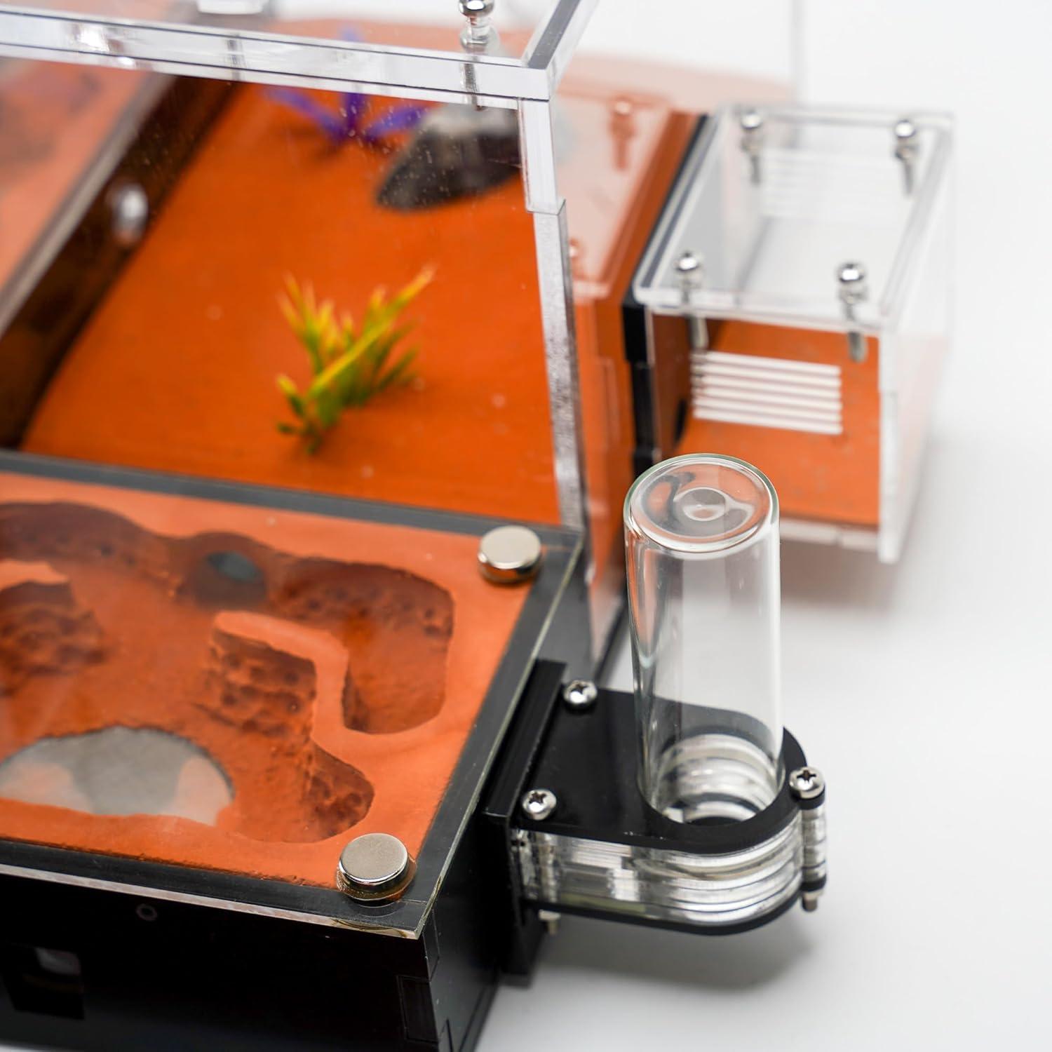 Ecological Ant Nest - Modular Ant Farm with Magnetic Glass Covers, Humidity Control, Ventilation, and Expansion Ports - Perfect for Ant Enthusiasts (10.63 x 9.84 x 5.12 inches)
