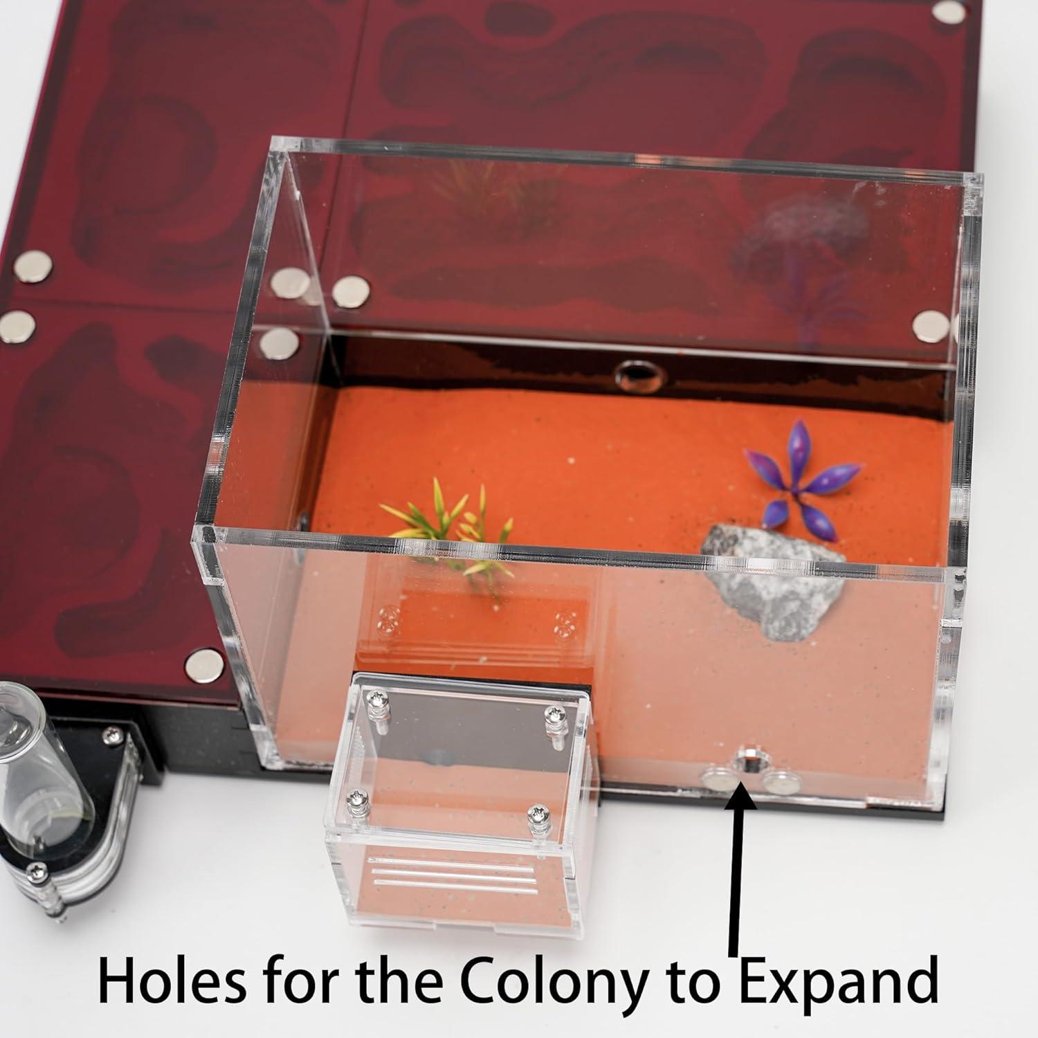 Ecological Ant Nest - Modular Ant Farm with Magnetic Glass Covers, Humidity Control, Ventilation, and Expansion Ports - Perfect for Ant Enthusiasts (10.63 x 9.84 x 5.12 inches)