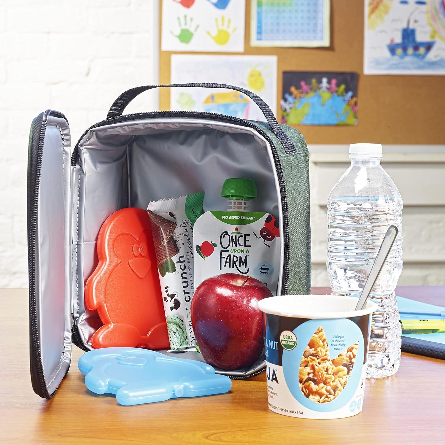 Paquetes de Hielo Delgados Fit & Fresh Cool Coolers - Set de 4