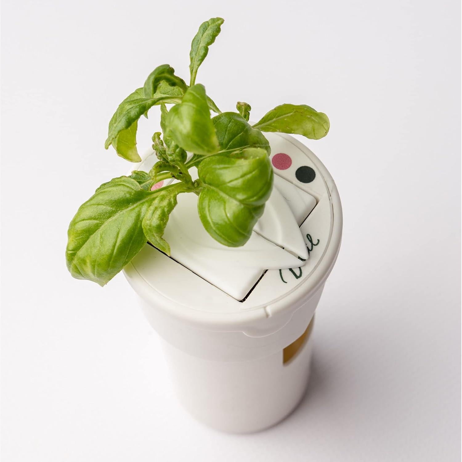 yCovers Gardyn Paquete de 10 Cubiertas de Silicona