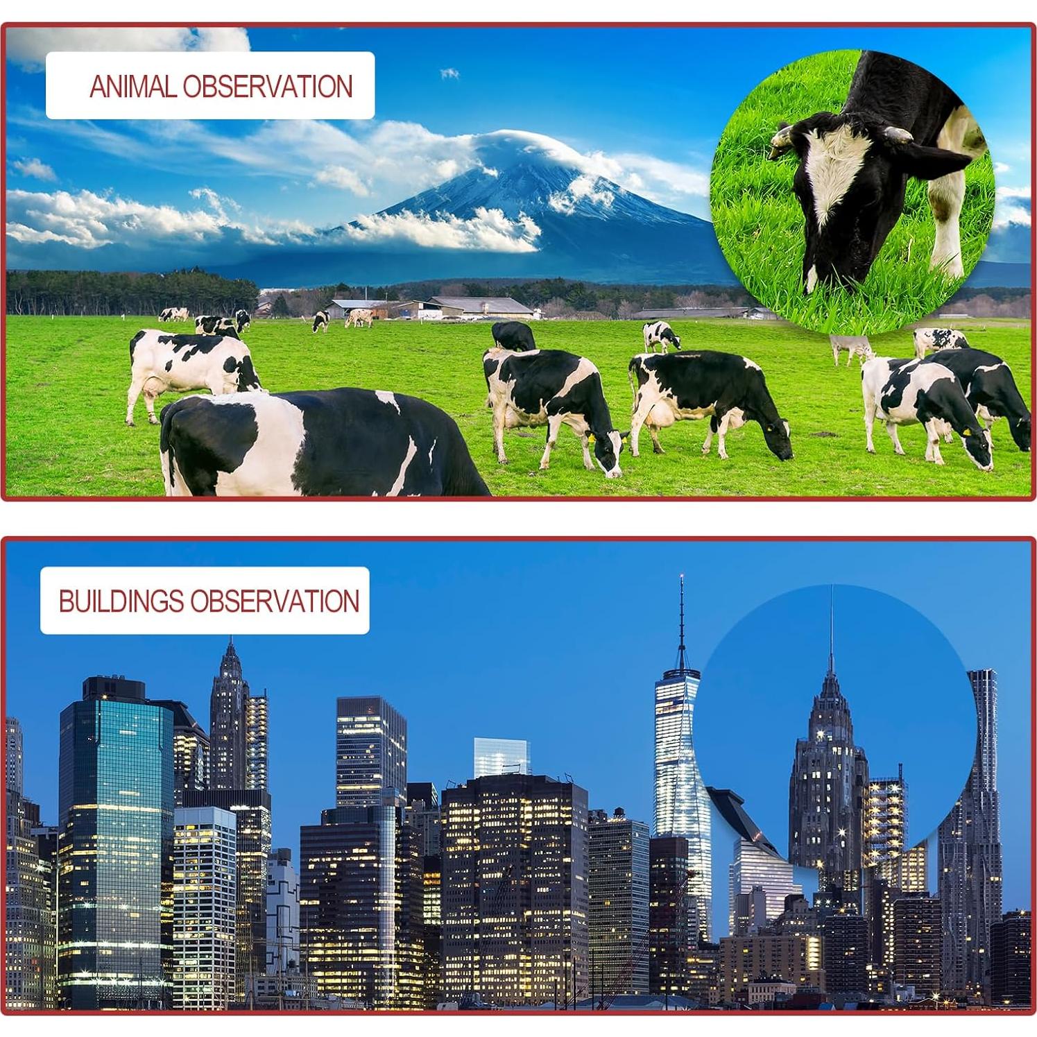 Telescopio Astronómico Little World 20X 30X 40X Portátil