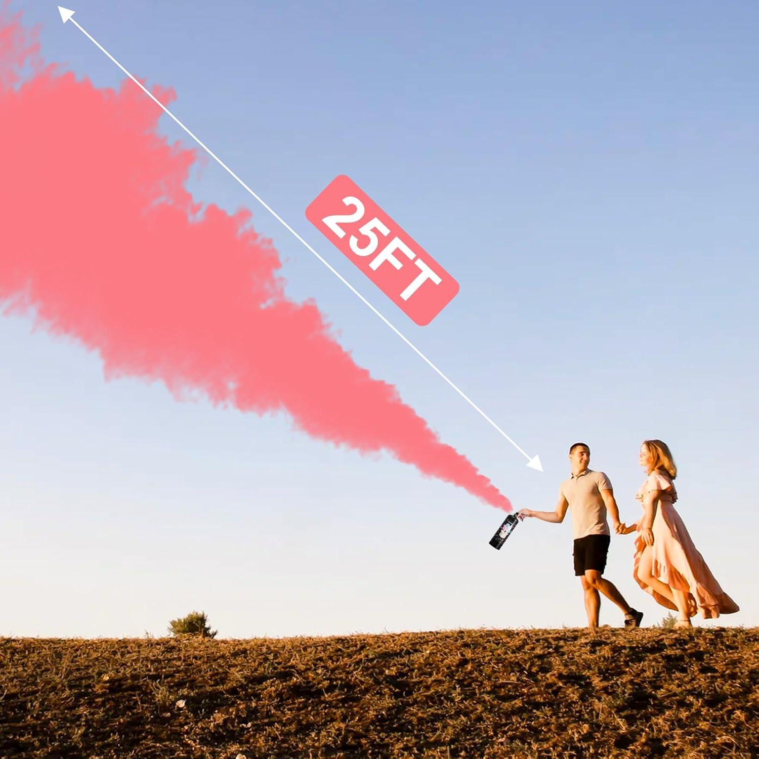 Extintor Revelación de Género Rosa - Lanzador de Polvo 0.73kg