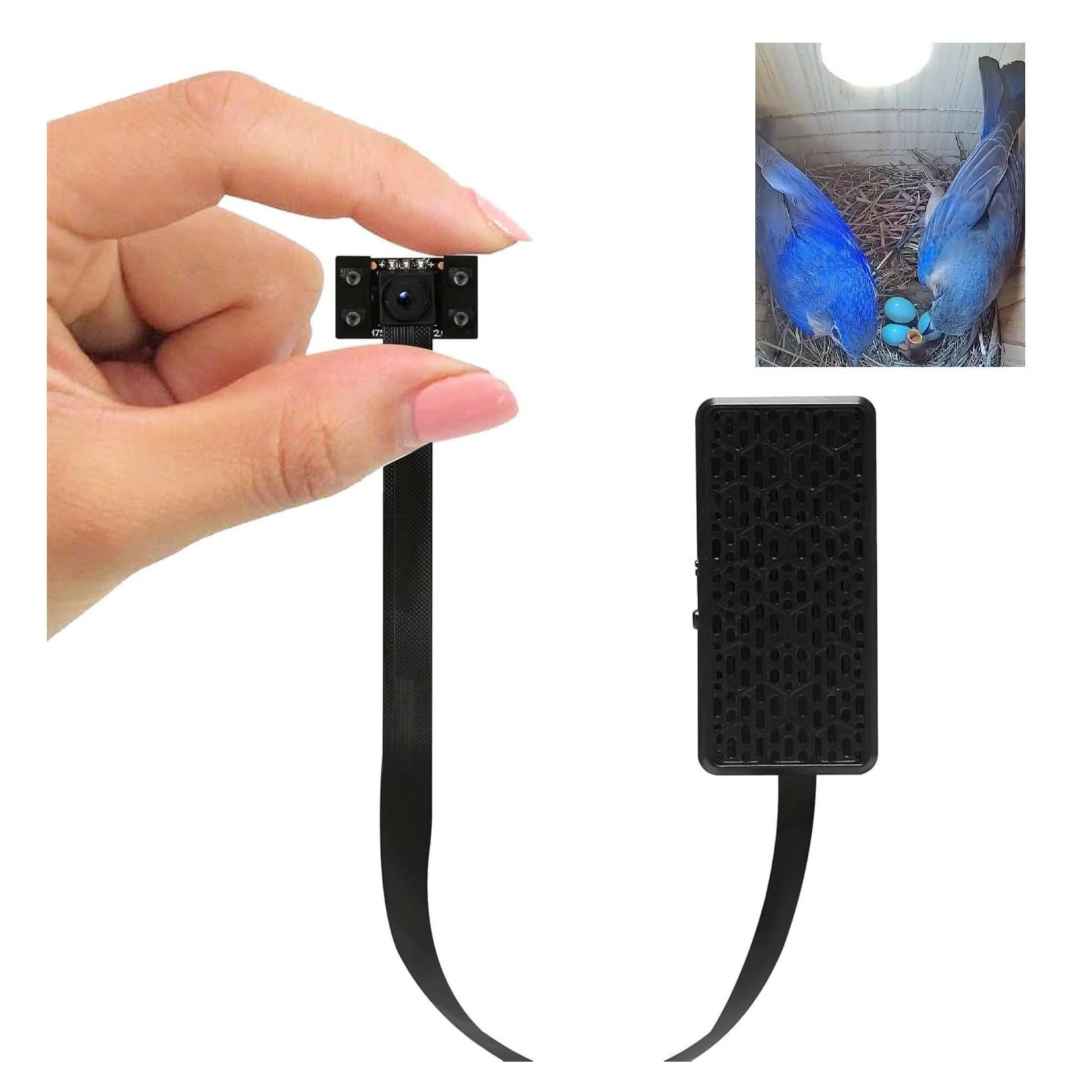 Cámara de caja de pájaros WIWACAM 4K HD con WiFi