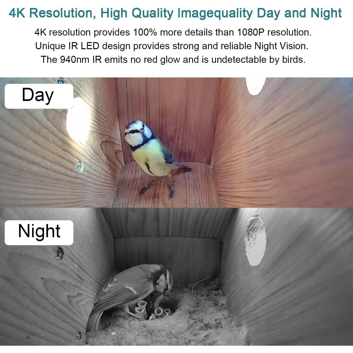 Cámara de caja de pájaros WIWACAM 4K HD con WiFi