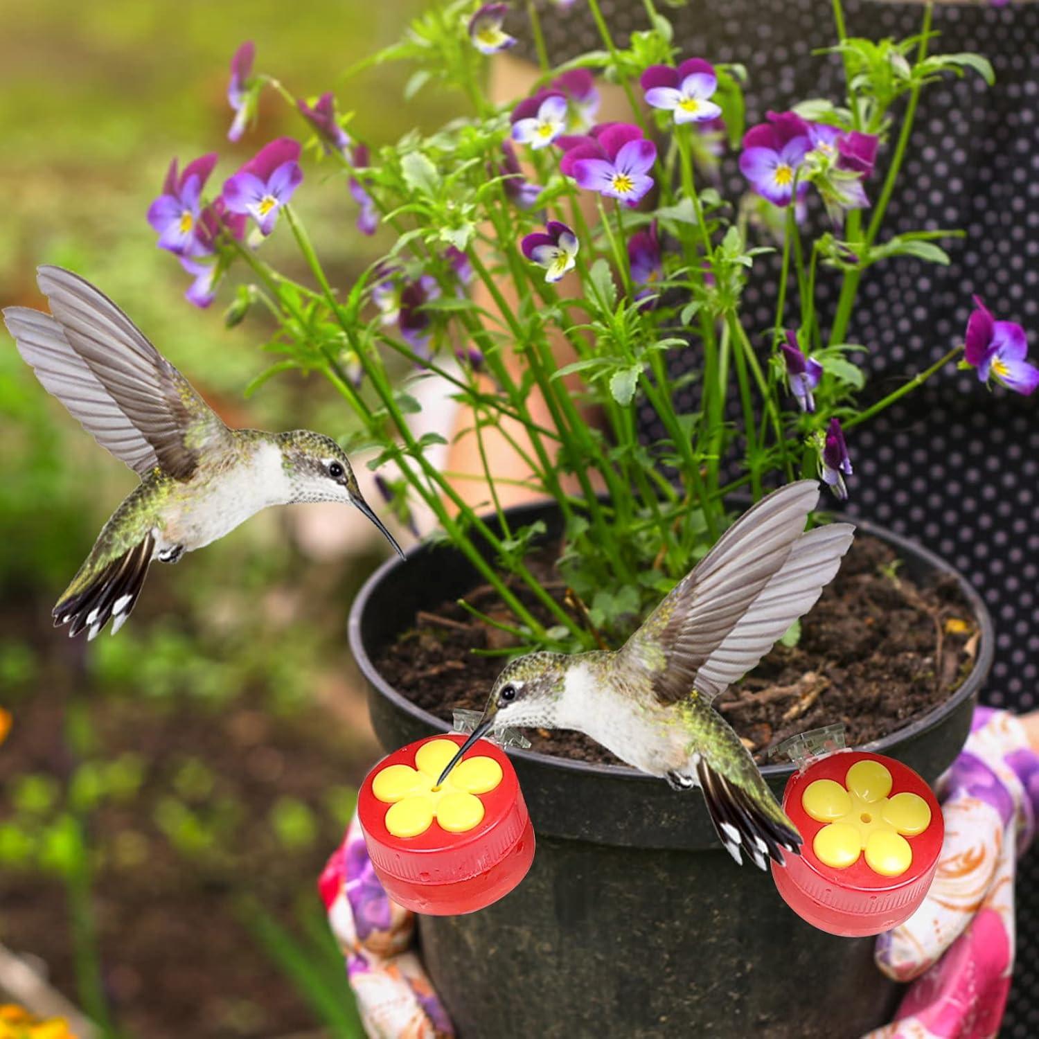 Paquete de 4 alimentadores de colibrí PiiSheou rojos