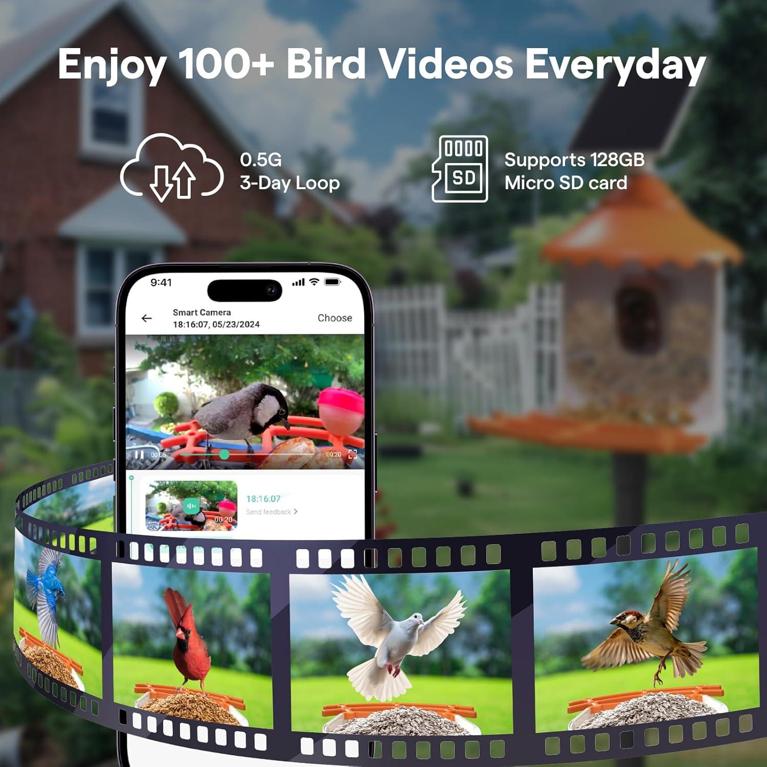 Comedero para Aves Birdsview Naranja 2.6L con Cámara 2K