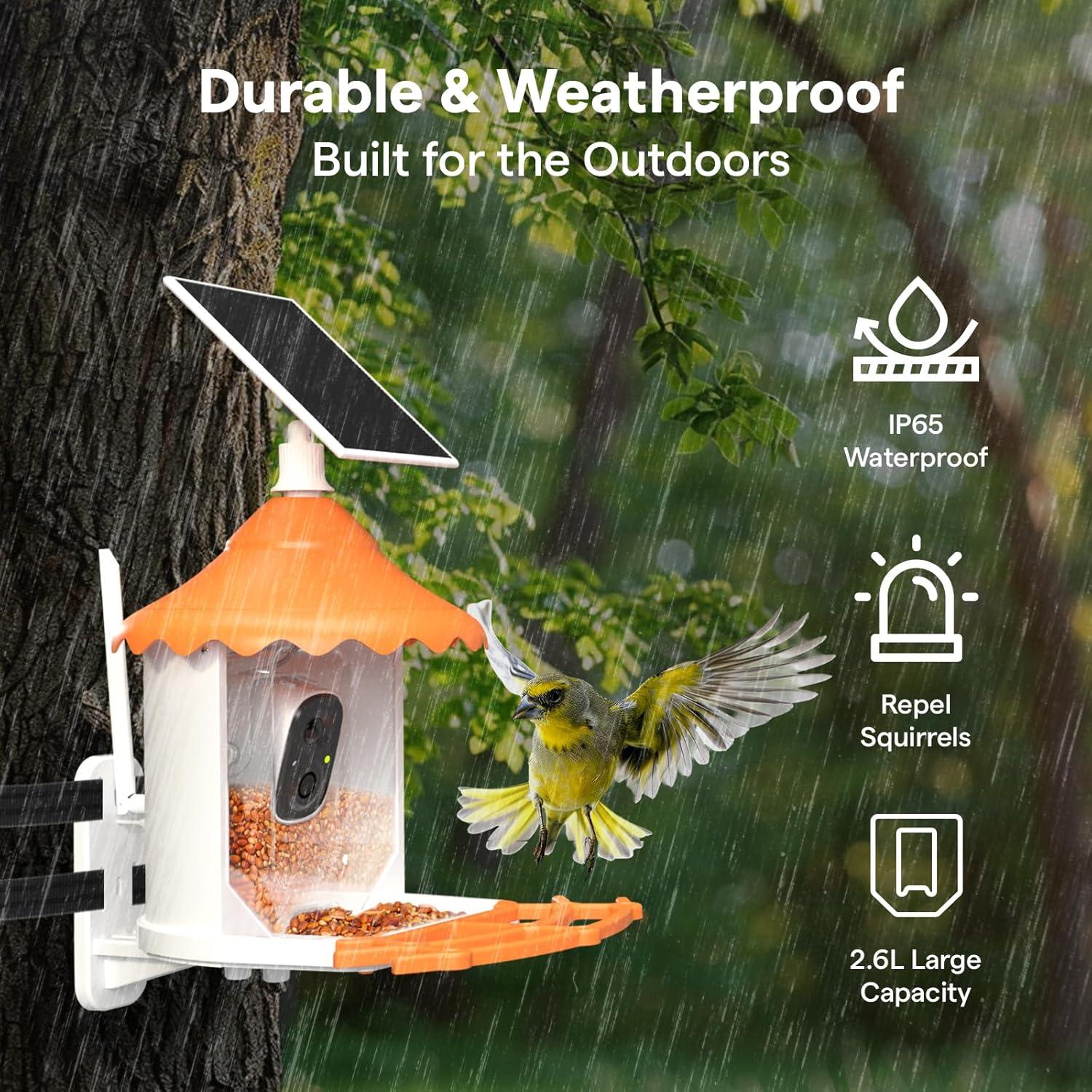 Comedero para Aves Birdsview Naranja 2.6L con Cámara 2K