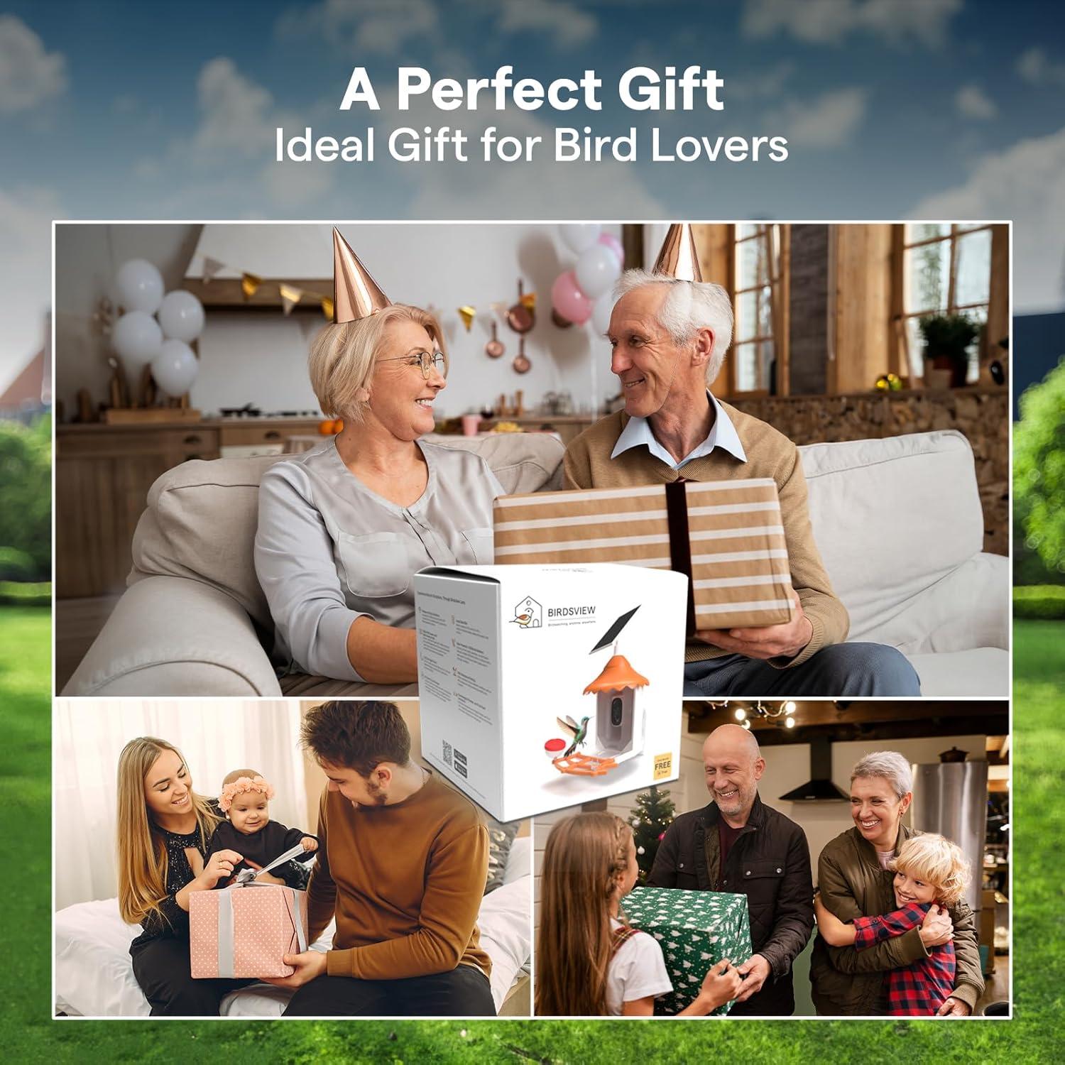 Comedero para Aves Birdsview Naranja 2.6L con Cámara 2K