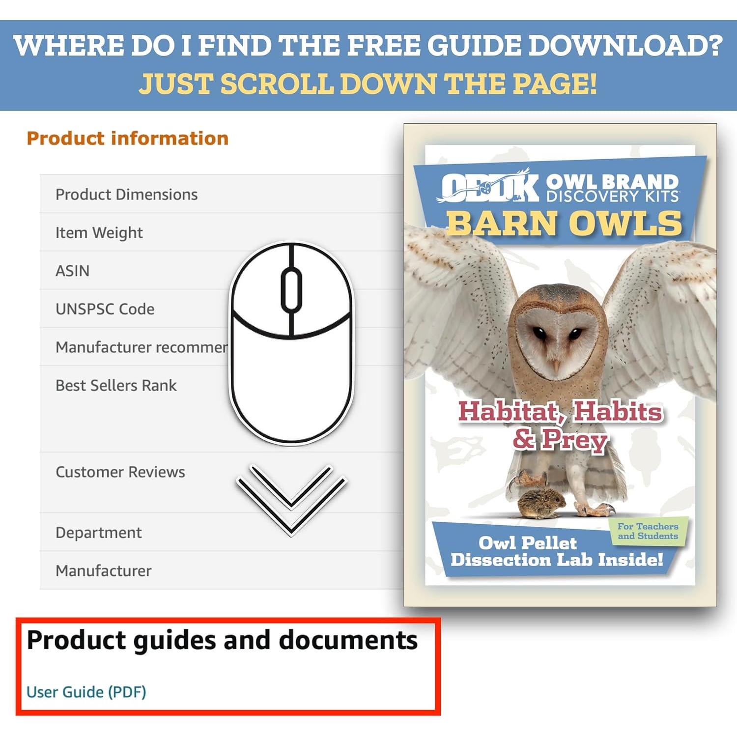 Pellets de Búho OBDK para Disección - 1 Paquete Pequeño