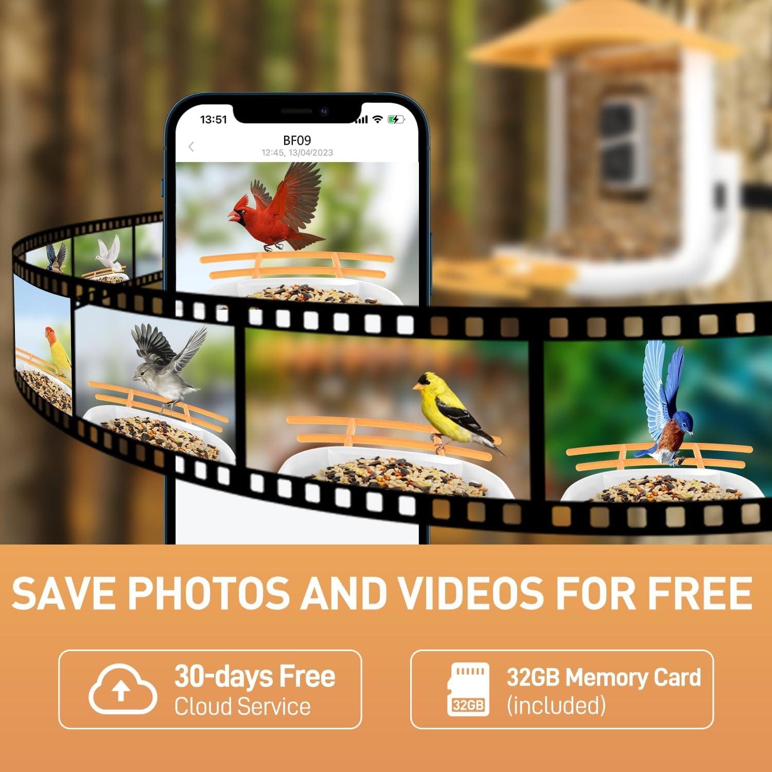 Comedero Inteligente para Aves SOLIOM BF09 con Cámara 2K