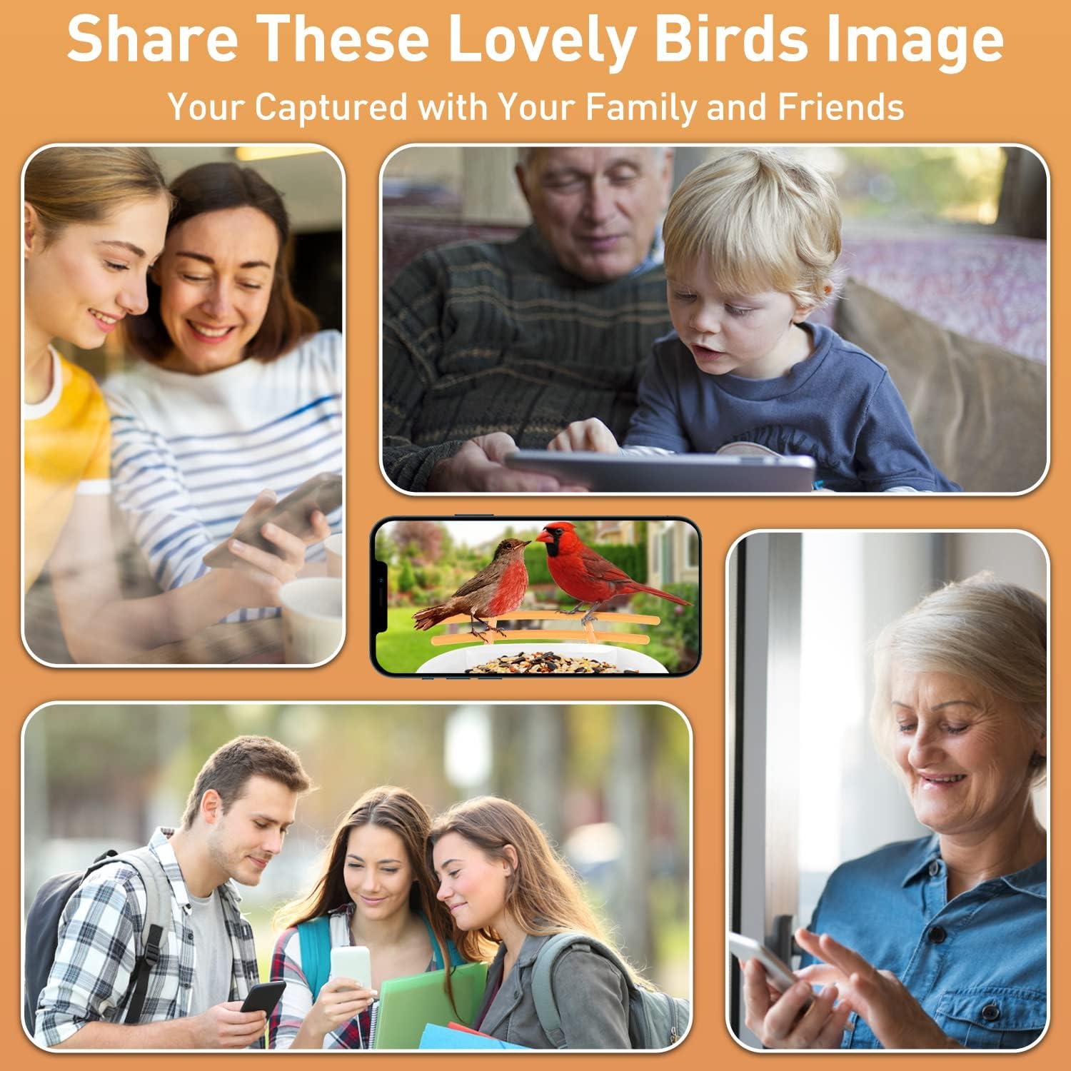 Comedero Inteligente para Aves SOLIOM BF09 con Cámara 2K