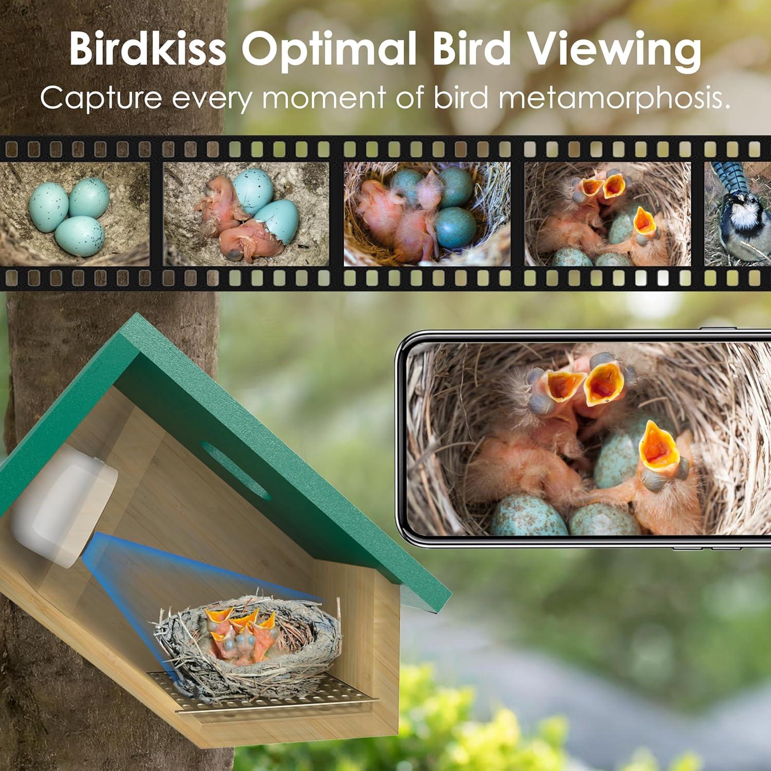 Casa para Aves Inteligente Birdkiss Verde HD 1080P Solar