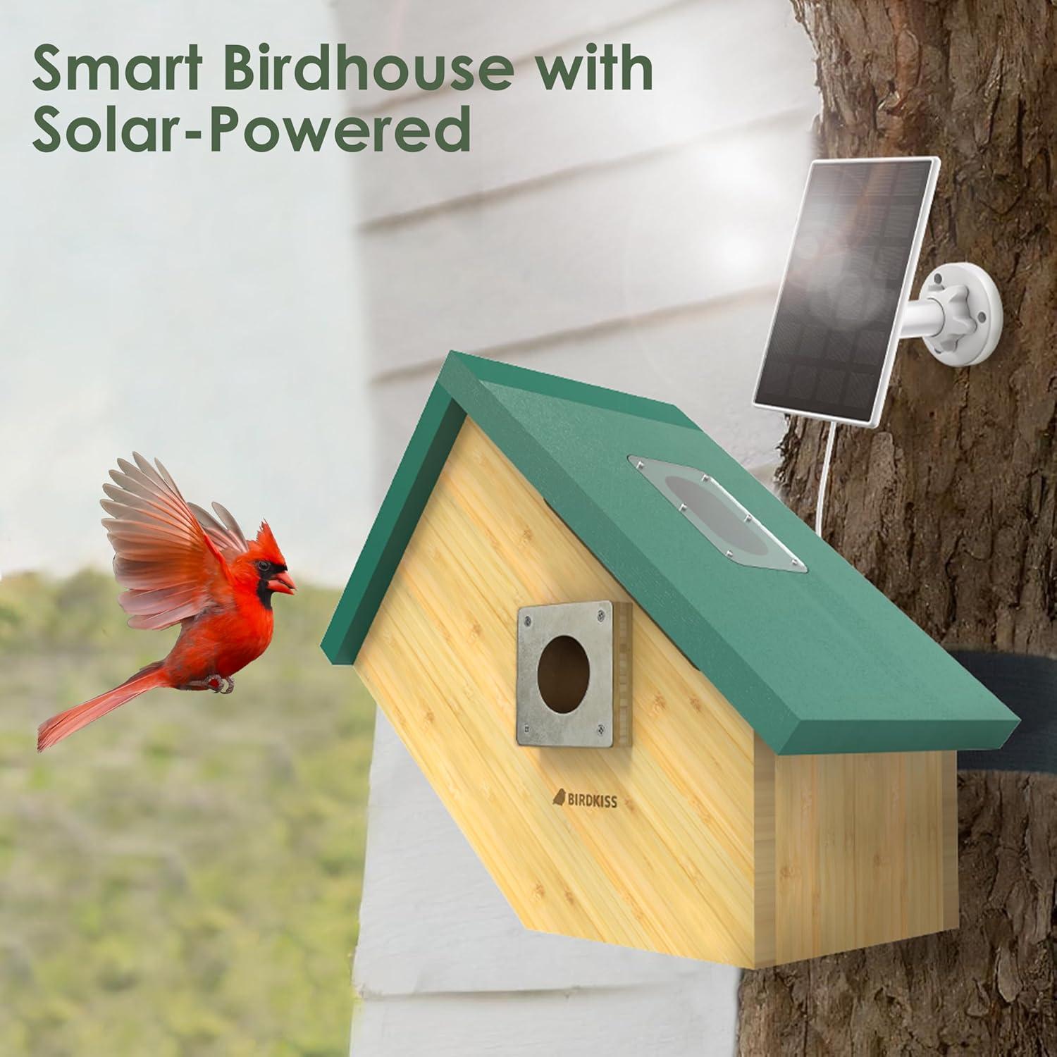 Casa para Aves Inteligente Birdkiss Verde HD 1080P Solar