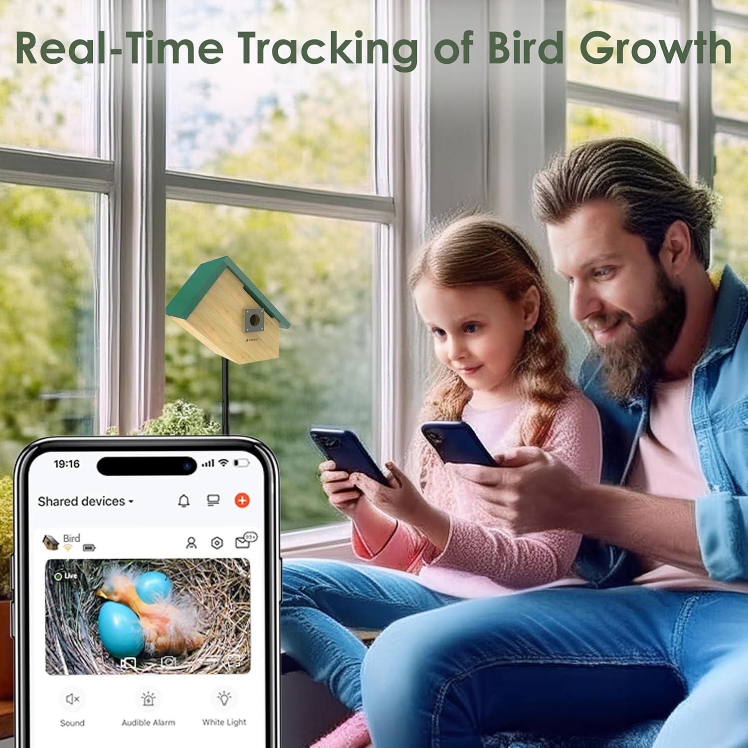 Casa para Aves Inteligente Birdkiss Verde HD 1080P Solar