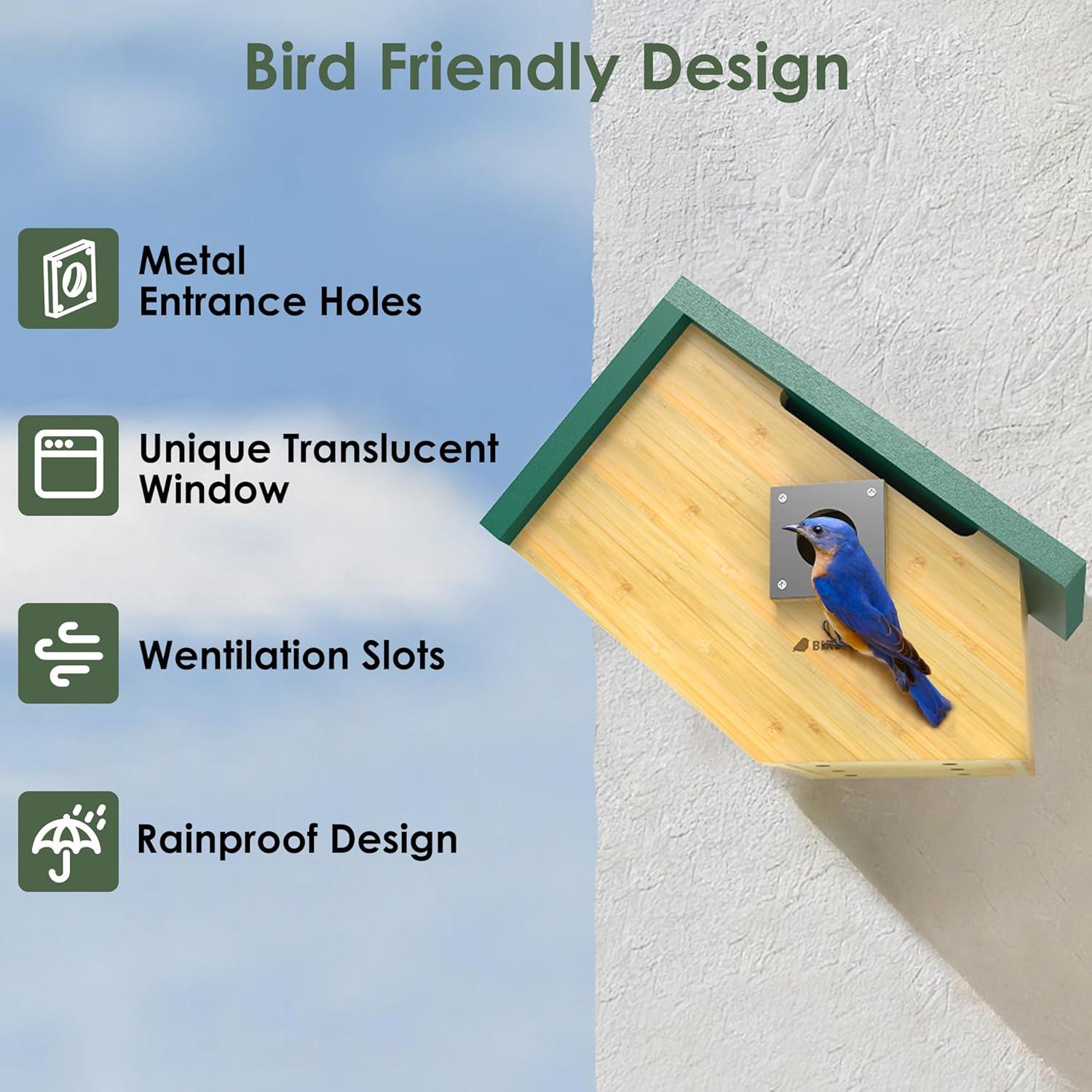 Casa para Aves Inteligente Birdkiss Verde HD 1080P Solar