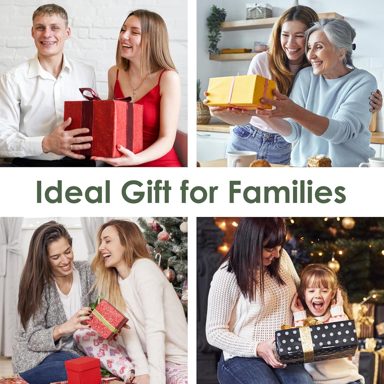 Casa para Aves Inteligente Birdkiss Verde HD 1080P Solar