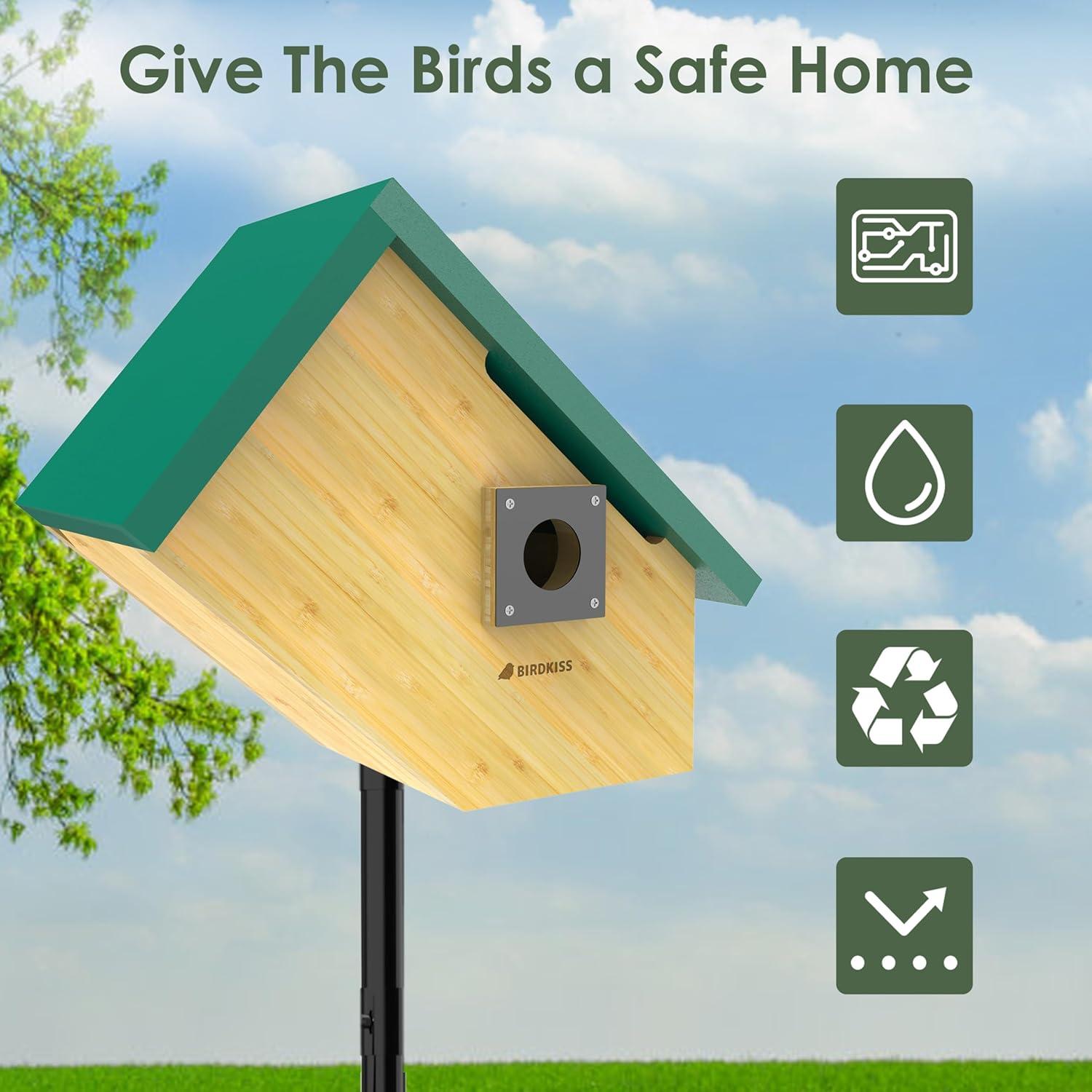 Casa para Aves Inteligente Birdkiss Verde HD 1080P Solar