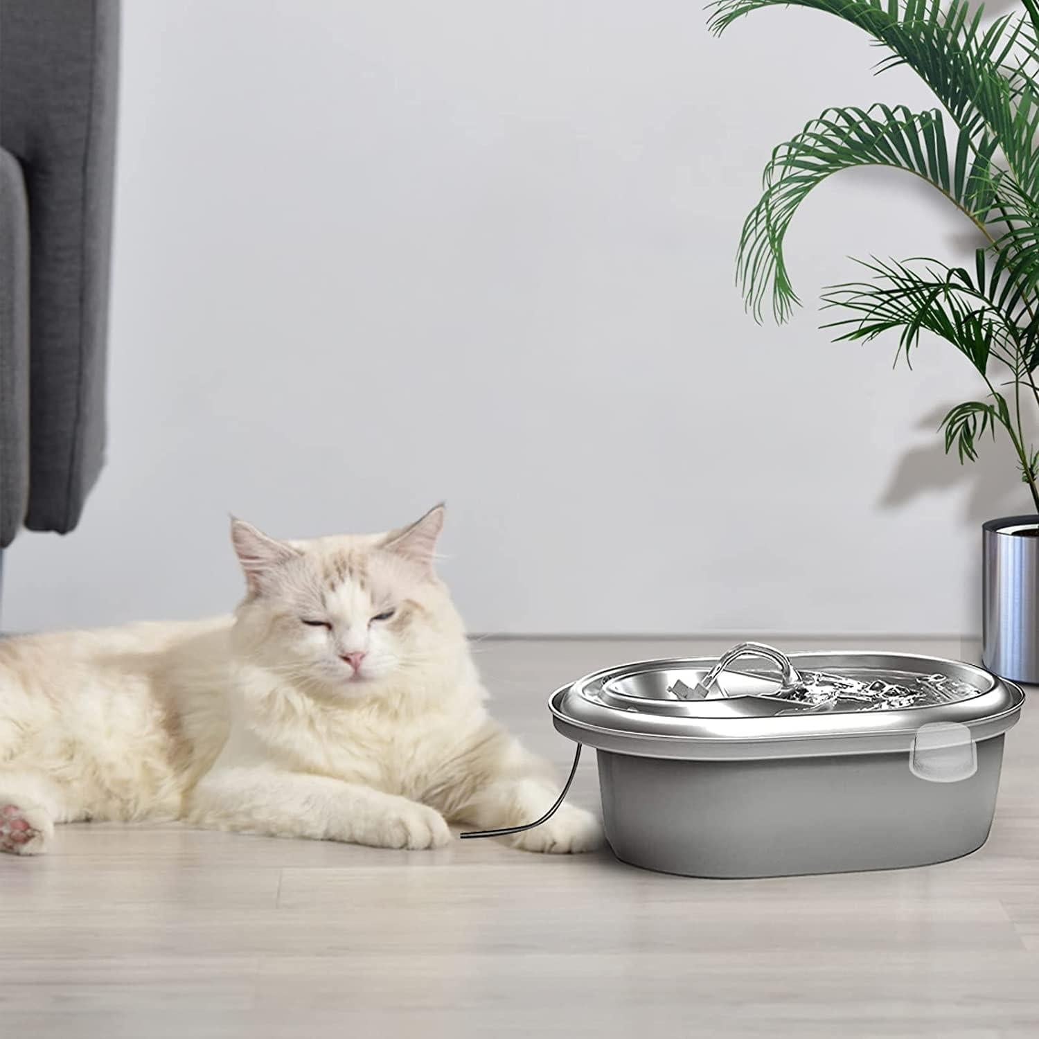 Filtros para Fuente de Agua Gato Cirfifth 12 Filtros y 12 Esponjas