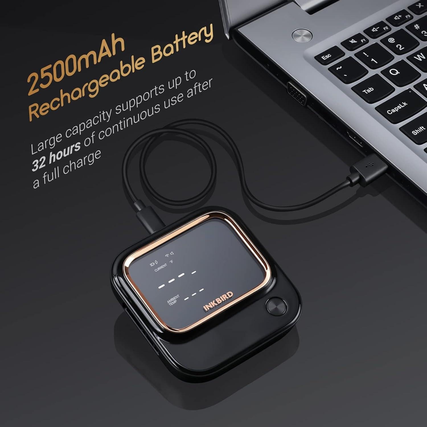 Termómetro Inkbird IBT-26S Bluetooth Wi-Fi BBQ 4 Probes