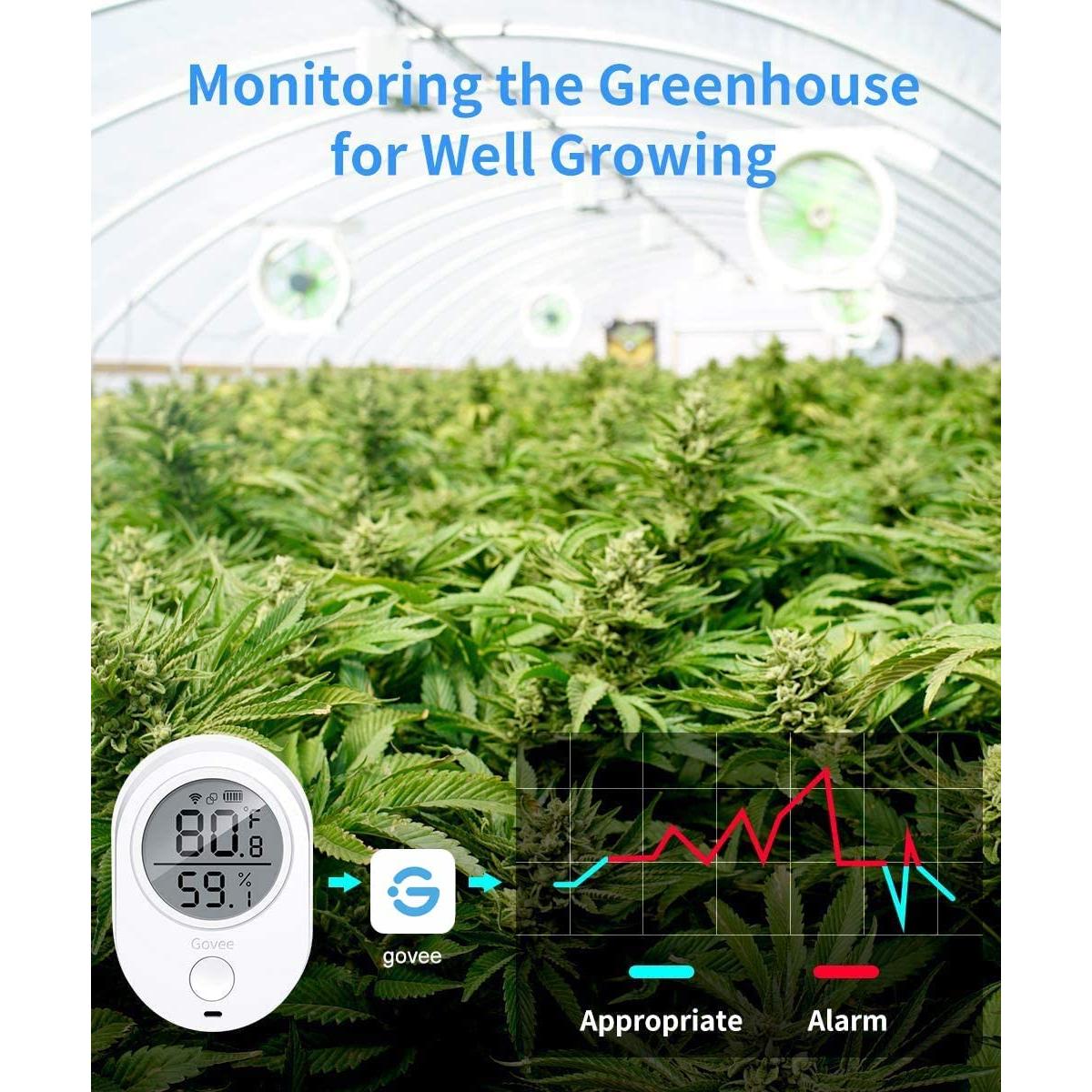 Termómetro Higrómetro WiFi Govee H5051, Sensor de Temperatura y Humedad