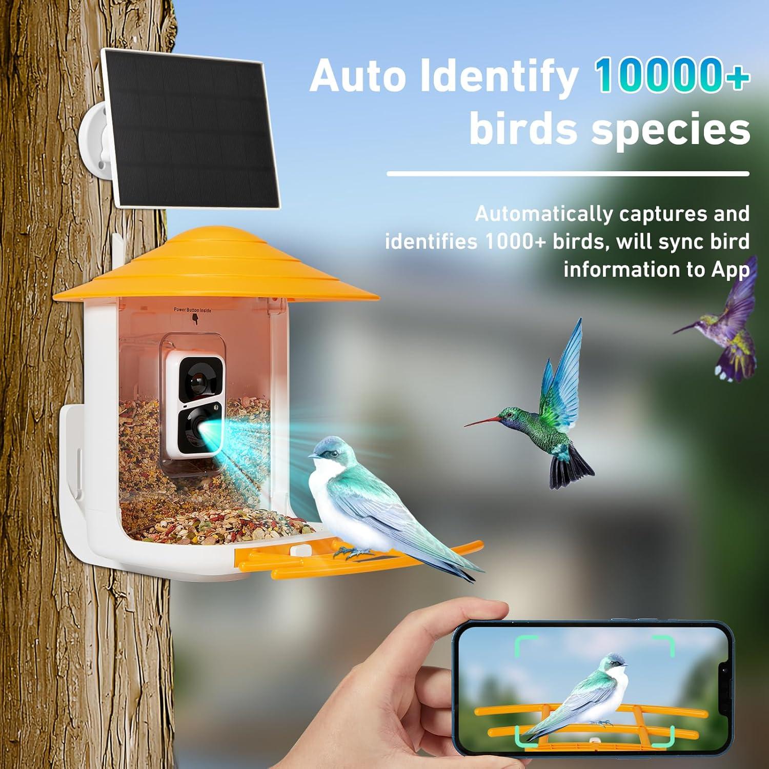 Comedero Inteligente para Aves AKQFZHQ - Cámara HD 1080P