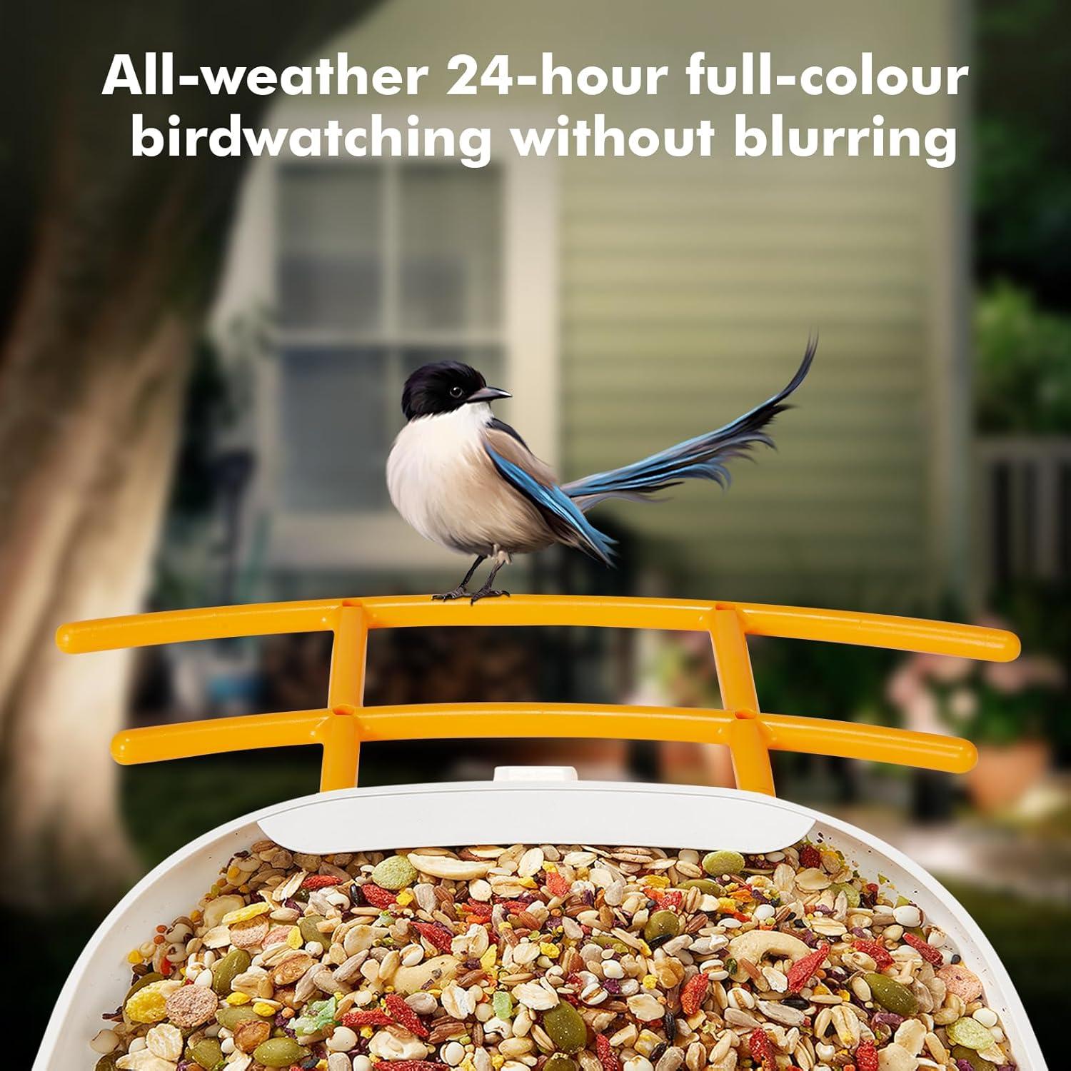 Comedero Inteligente para Aves AKQFZHQ - Cámara HD 1080P