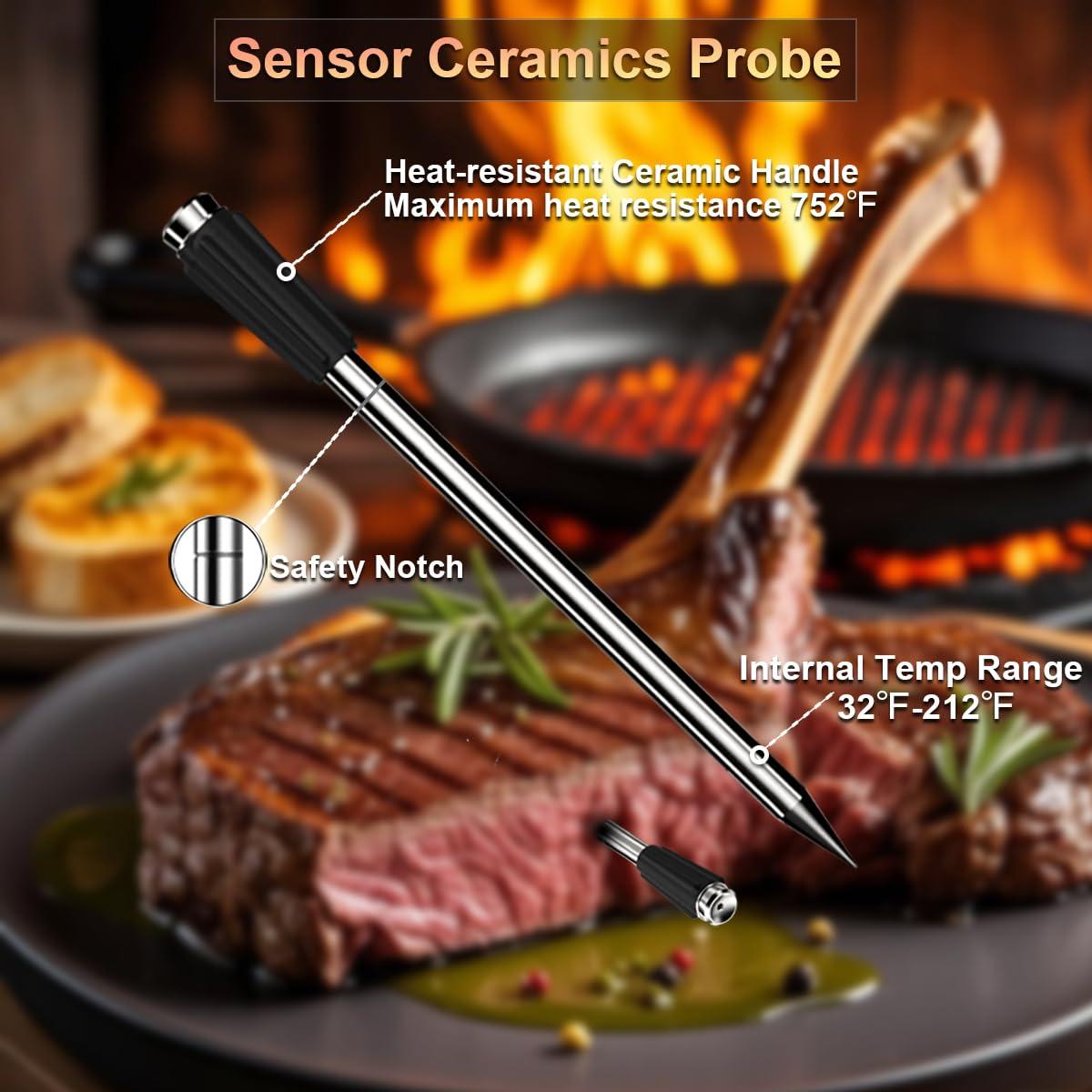 Termómetro de carne FodoTherm Bluetooth 800FT con sonda doble