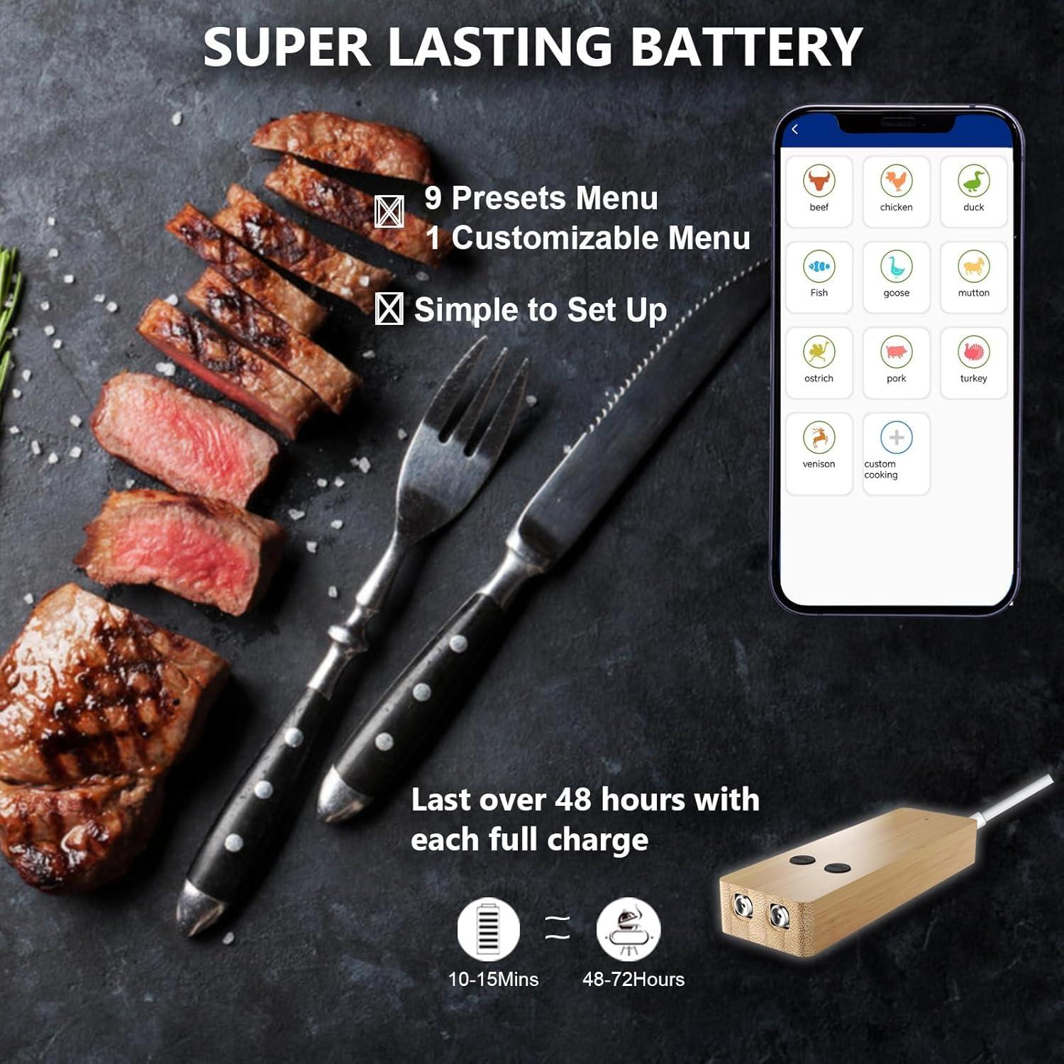 Termómetro Digital Inalámbrico HIODS XION BBQ 2 Probes 100m