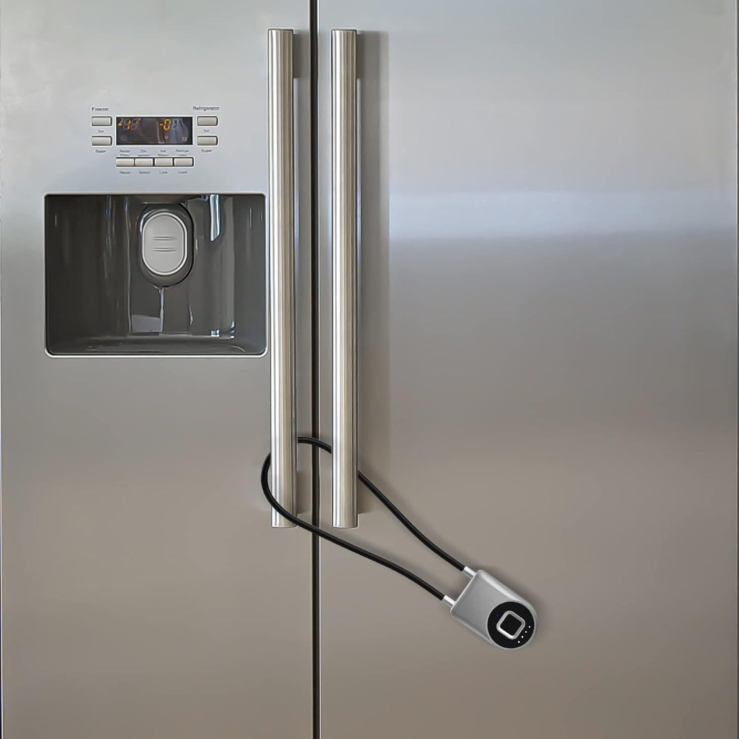 Candado Biometrico Dhiedas con Cable de 15,24 cm Plata