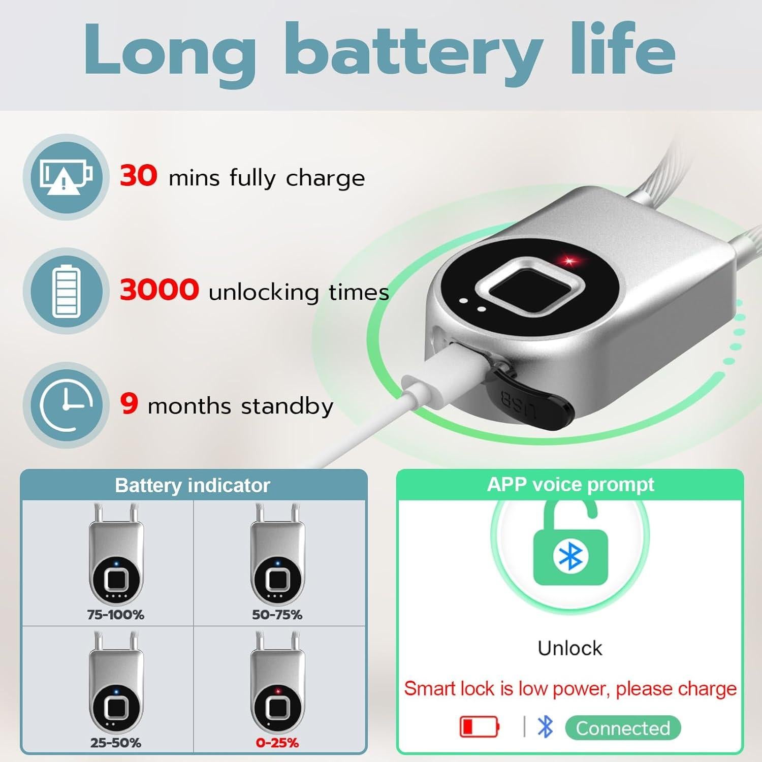 Candado Biométrico Dhiedas P2C 6" Plata Bluetooth