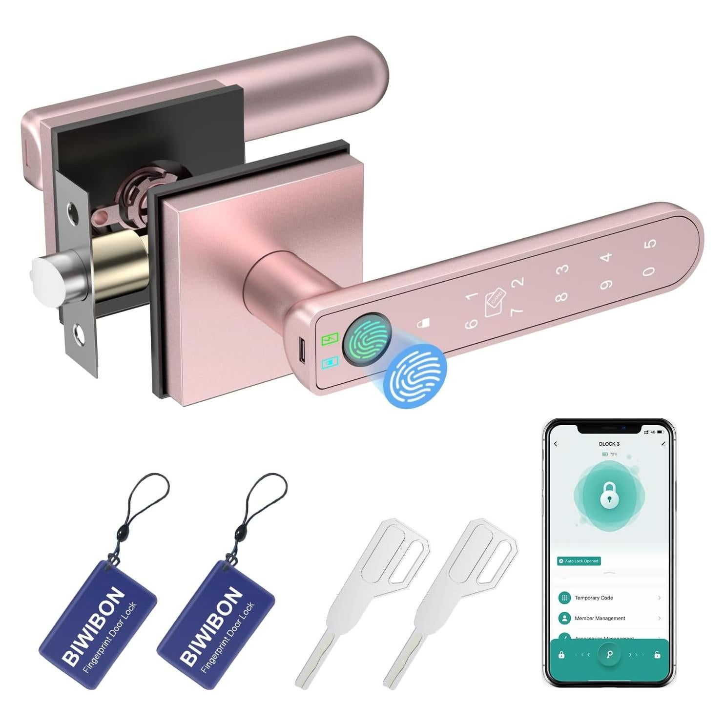 Cerradura Biométrica con Huella Dactilar BIWIBON BCA-02