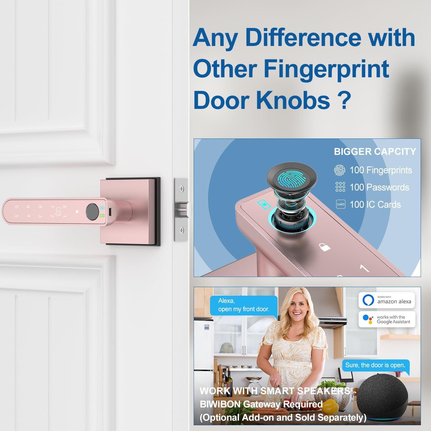 Cerradura Biométrica con Huella Dactilar BIWIBON BCA-02