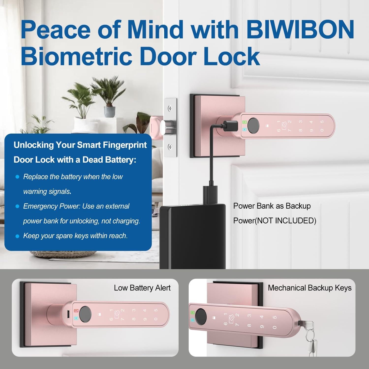 Cerradura Biométrica con Huella Dactilar BIWIBON BCA-02