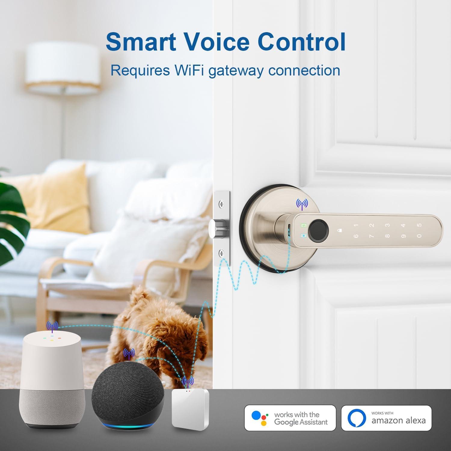 Cerradura Biométrica BAFUWEIY CA02-N con App y Huella
