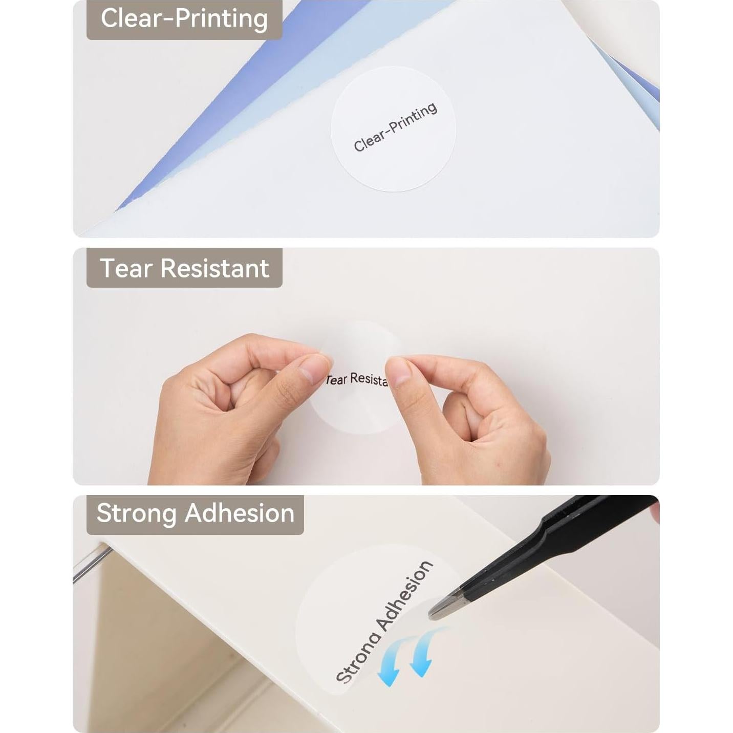 Cinta de Etiquetas NIIMBOT B1 50x50mm Transparente 230 Unidades