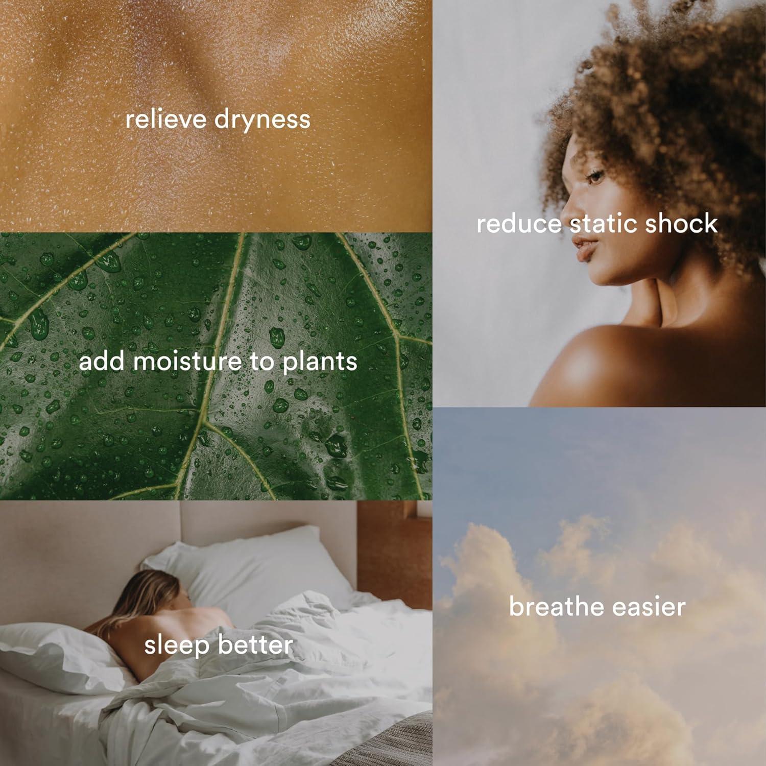 Humidificador Ultrasonico Deluxe Homedics 5.68L Control Remoto