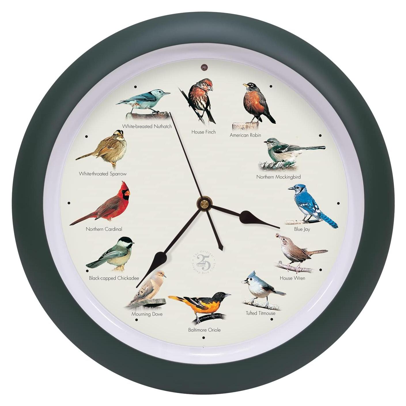 Reloj de Pájaro Cantor Mark Feldstein 25 Aniversario 33 cm Verde